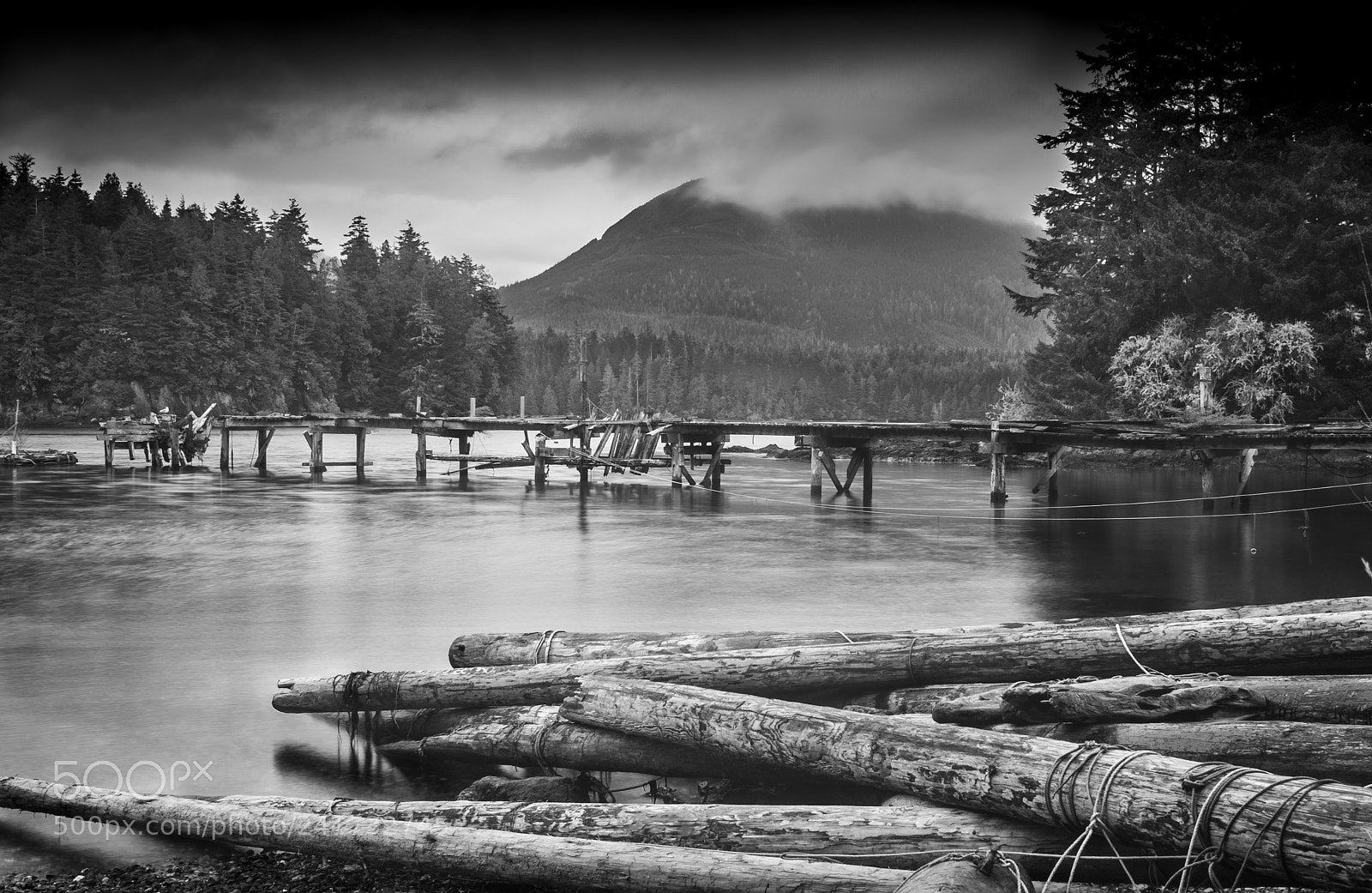 Nikon D700 sample photo. Ucluelet b/w art photography