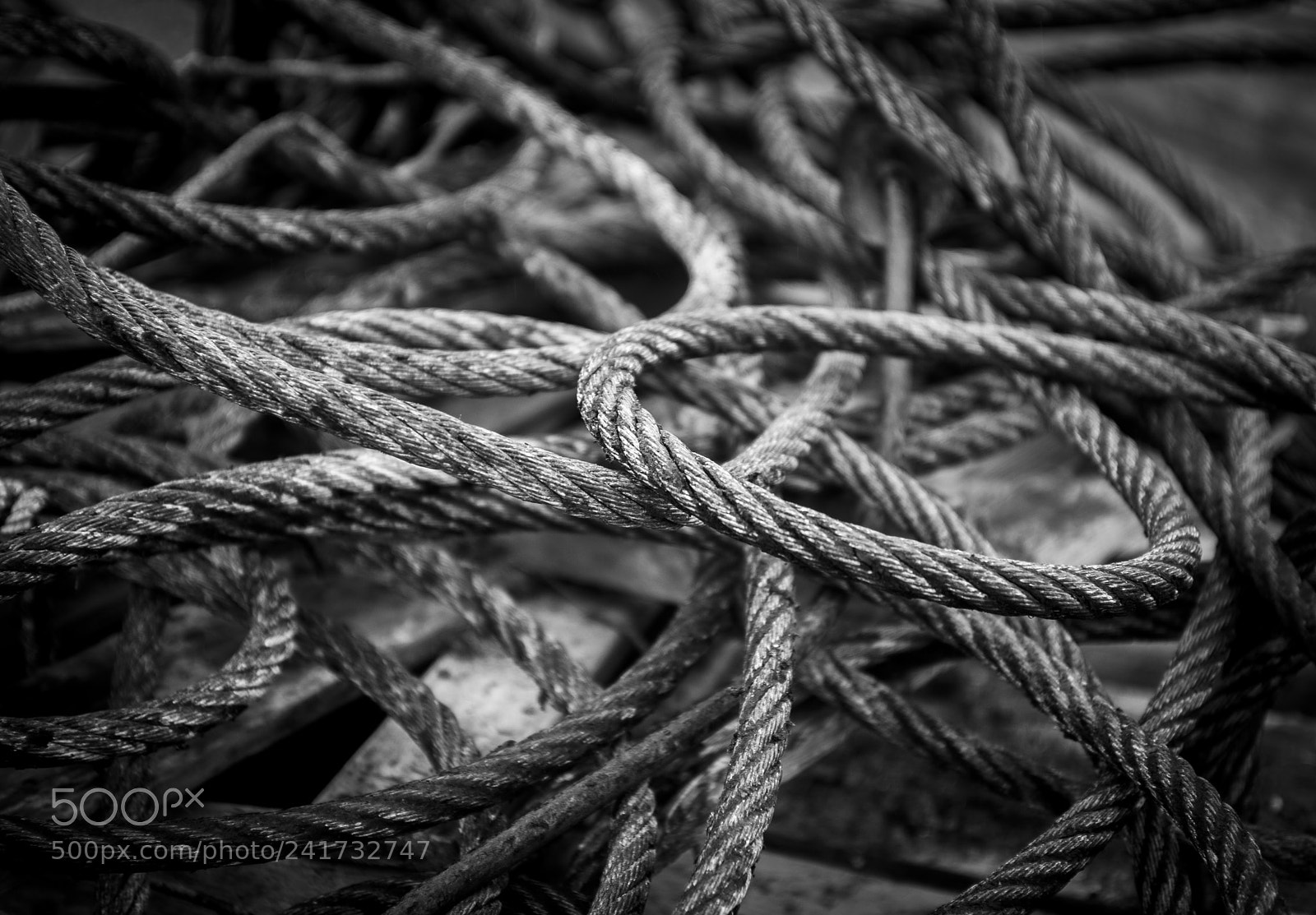 Nikon D700 sample photo. Ucluelet b/w art photography