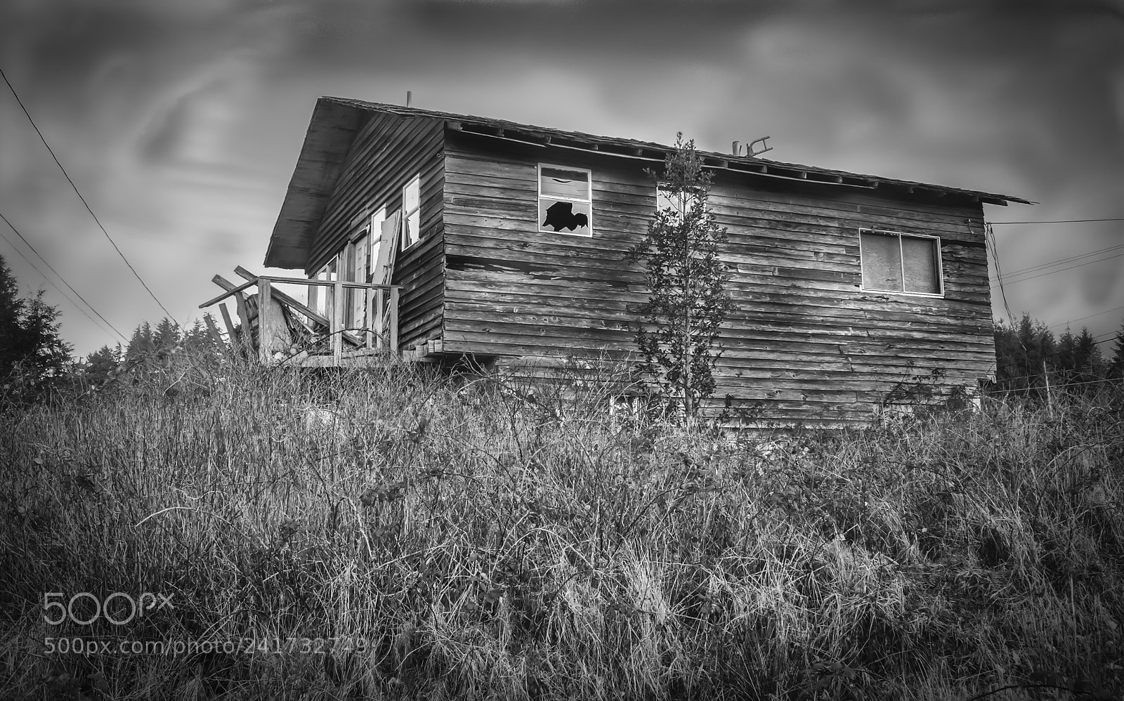 Nikon D700 sample photo. Ucluelet b/w art photography