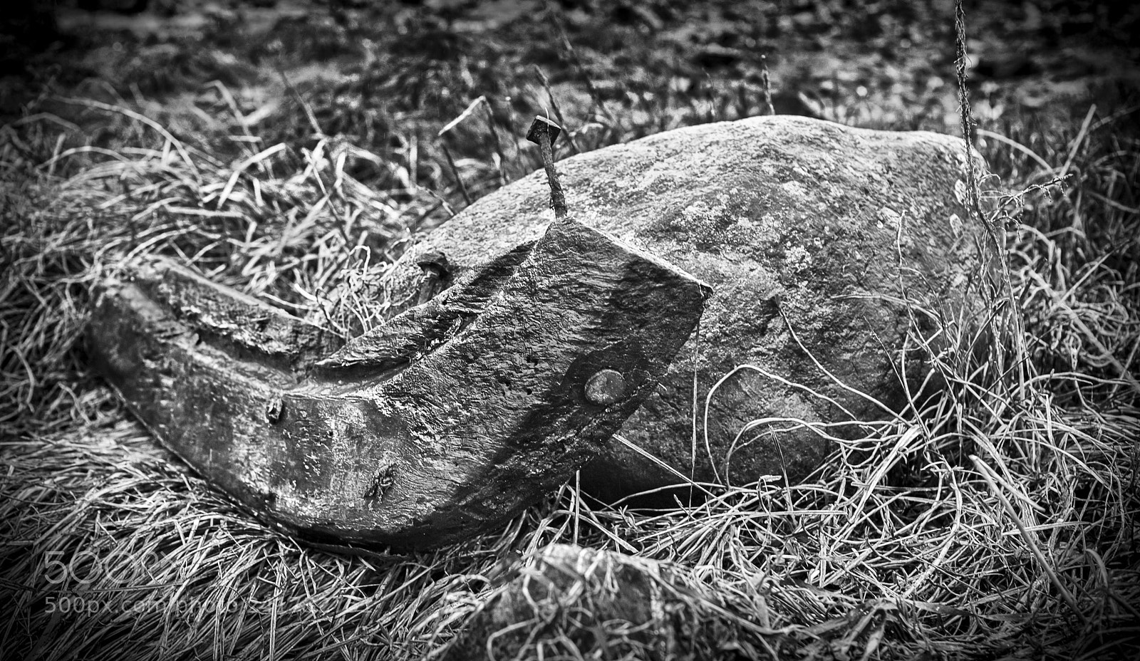 Nikon D700 sample photo. Ucluelet b/w art photography