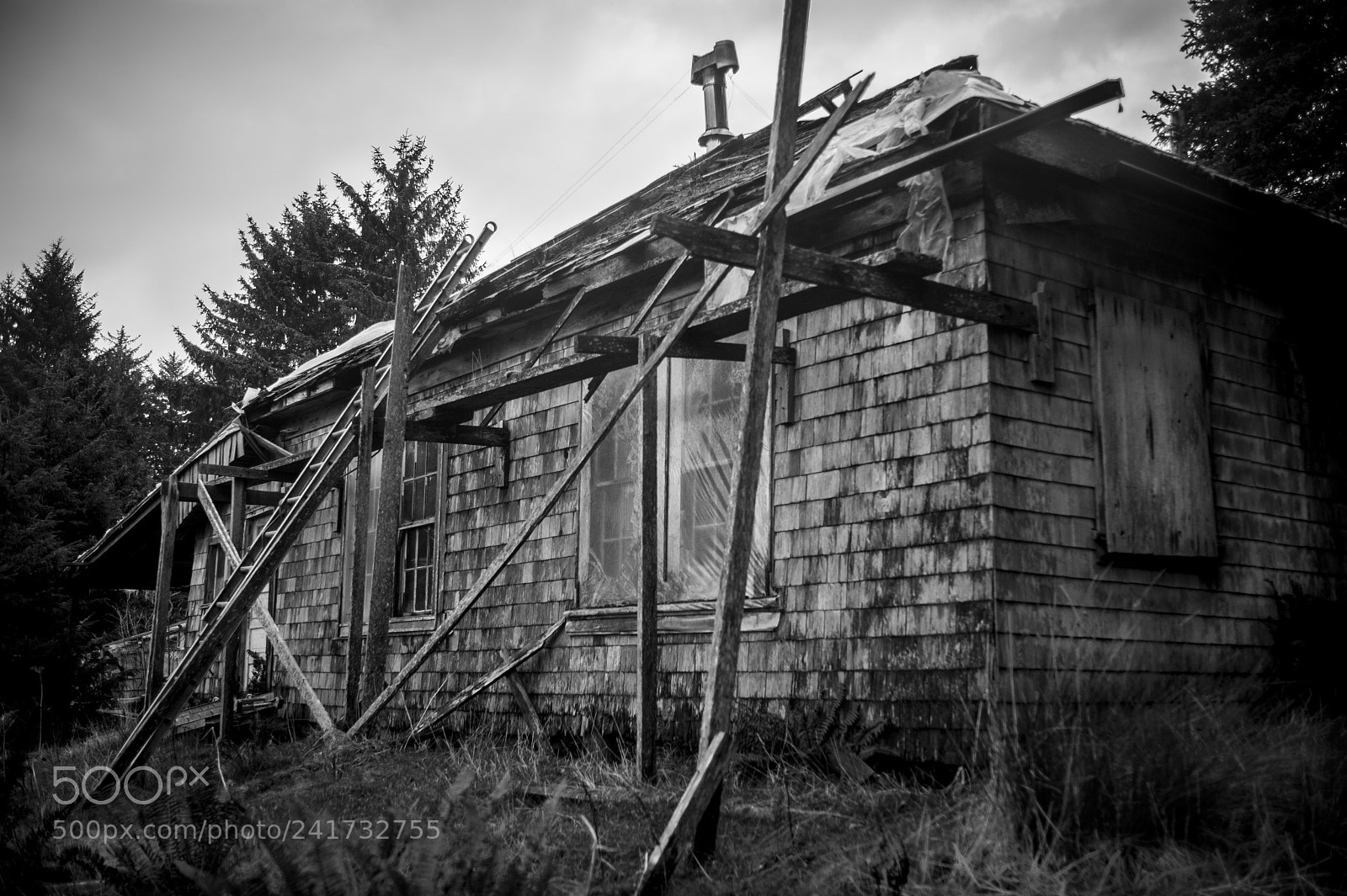 Nikon D700 sample photo. Ucluelet b/w art photography