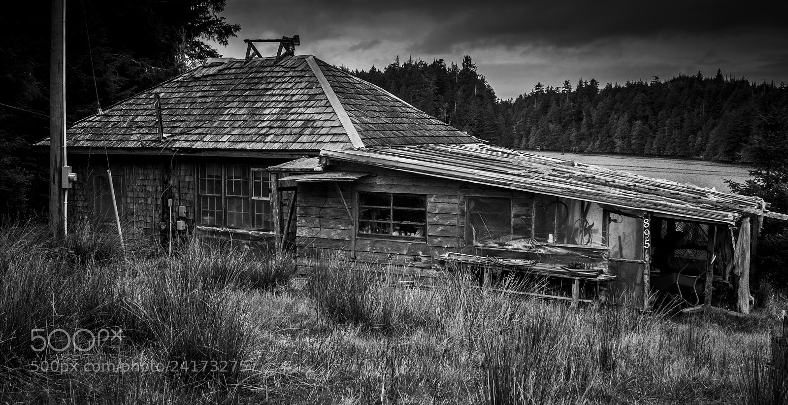 Nikon D700 sample photo. Ucluelet b/w art photography