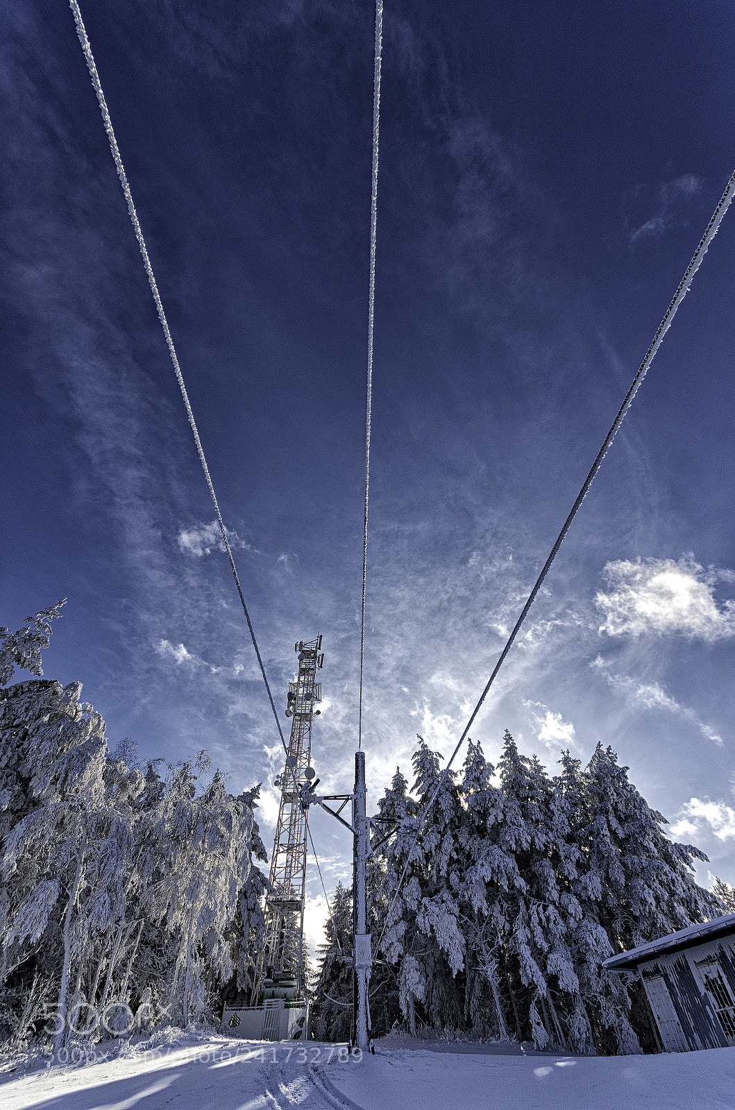 Pentax K-5 II sample photo. Frozen photography
