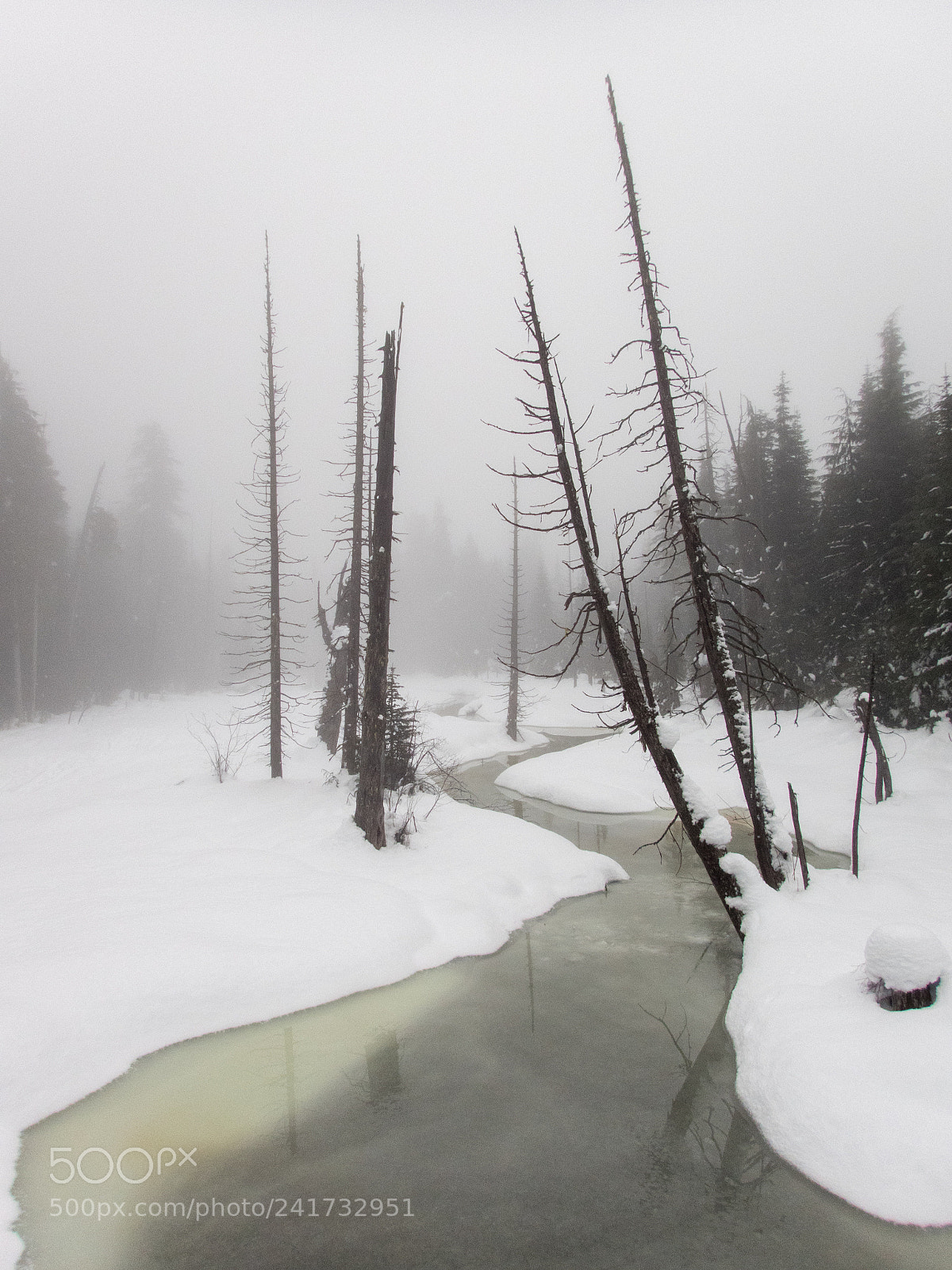 Olympus TG-4 sample photo. Winter in whistler photography