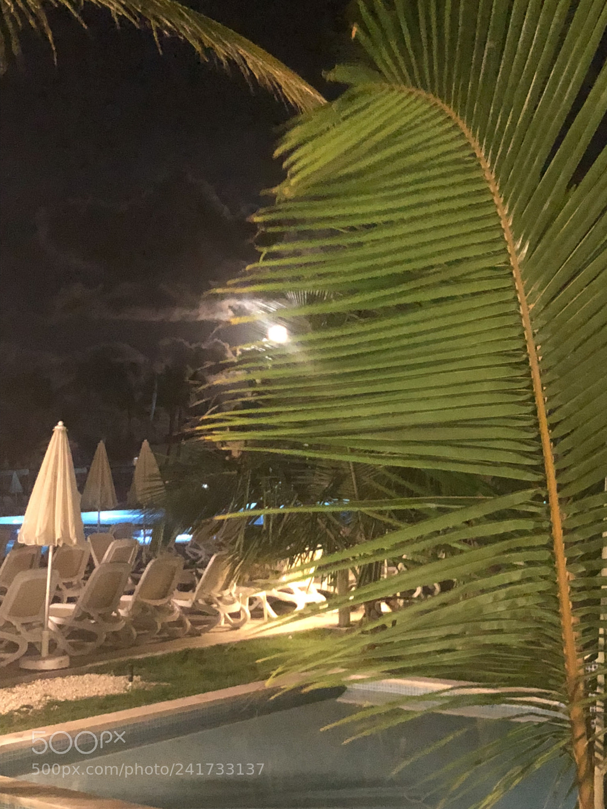 Apple iPhone 8 sample photo. Dabc abaabc photography