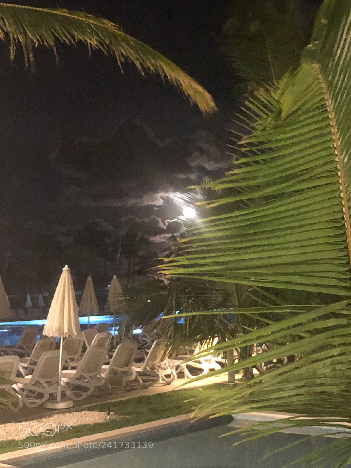 Apple iPhone 8 sample photo. Ea ea c bdbbcacbc photography