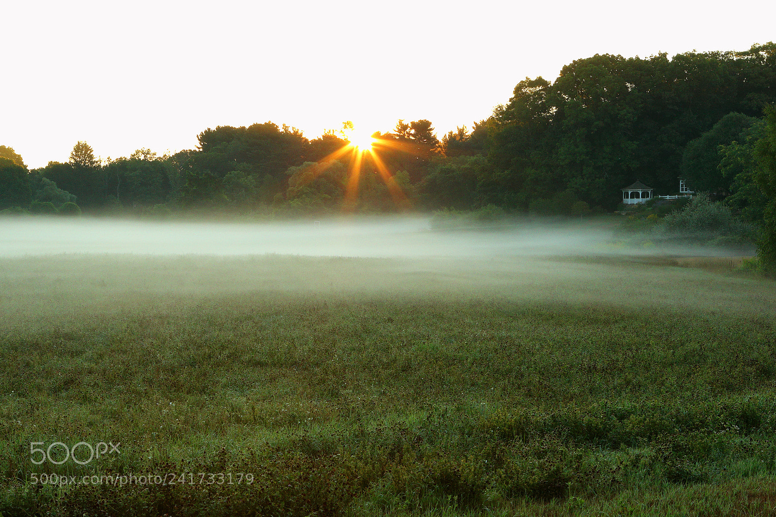 Canon EOS-1D X sample photo. Sunrise on a misty photography