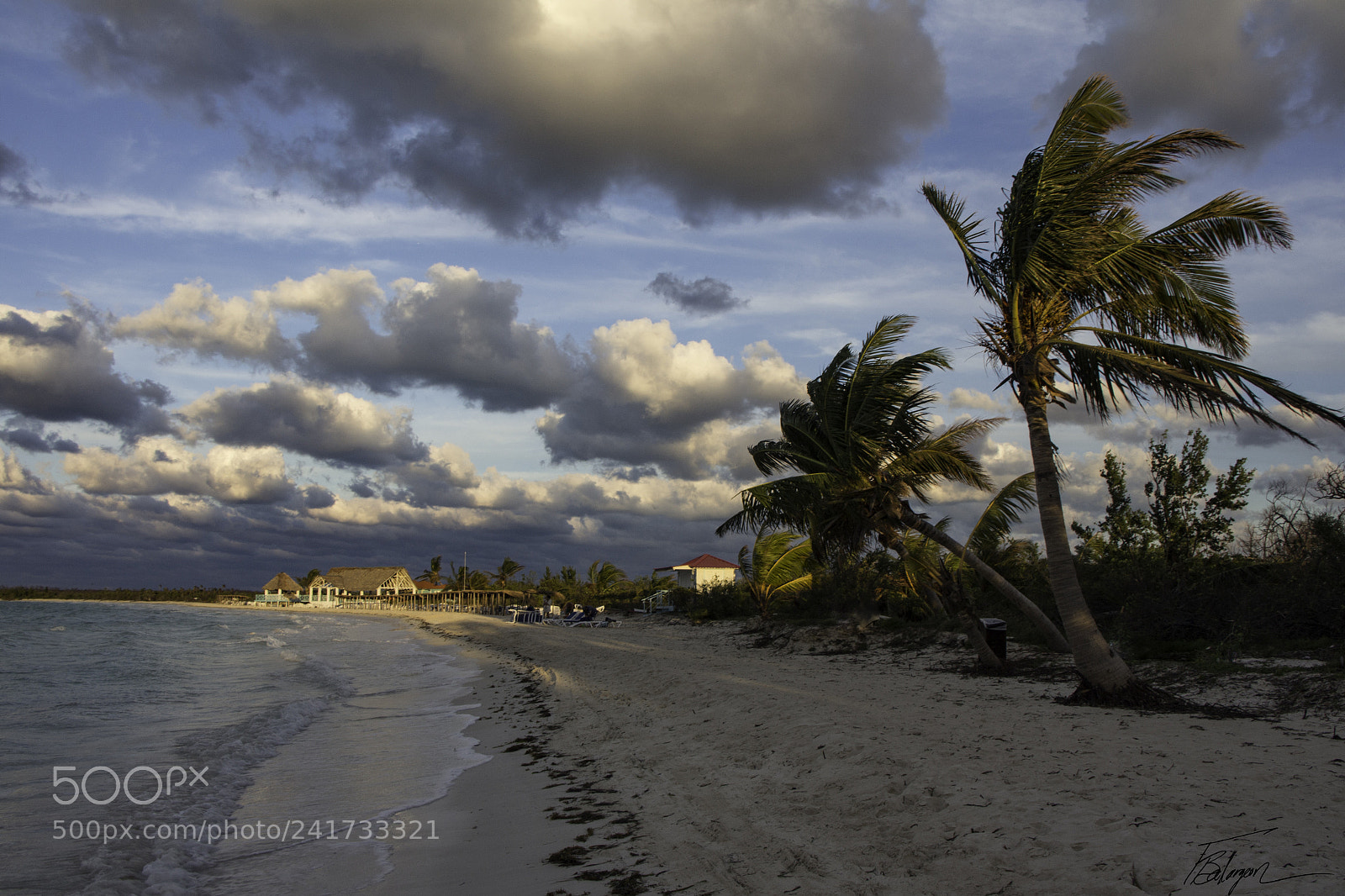 Canon EOS 650D (EOS Rebel T4i / EOS Kiss X6i) sample photo. Palm trees and sand photography