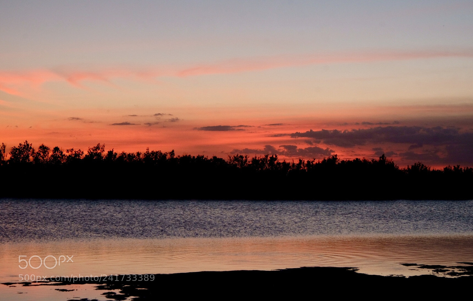 Fujifilm X-T2 sample photo. Marco island cove photography