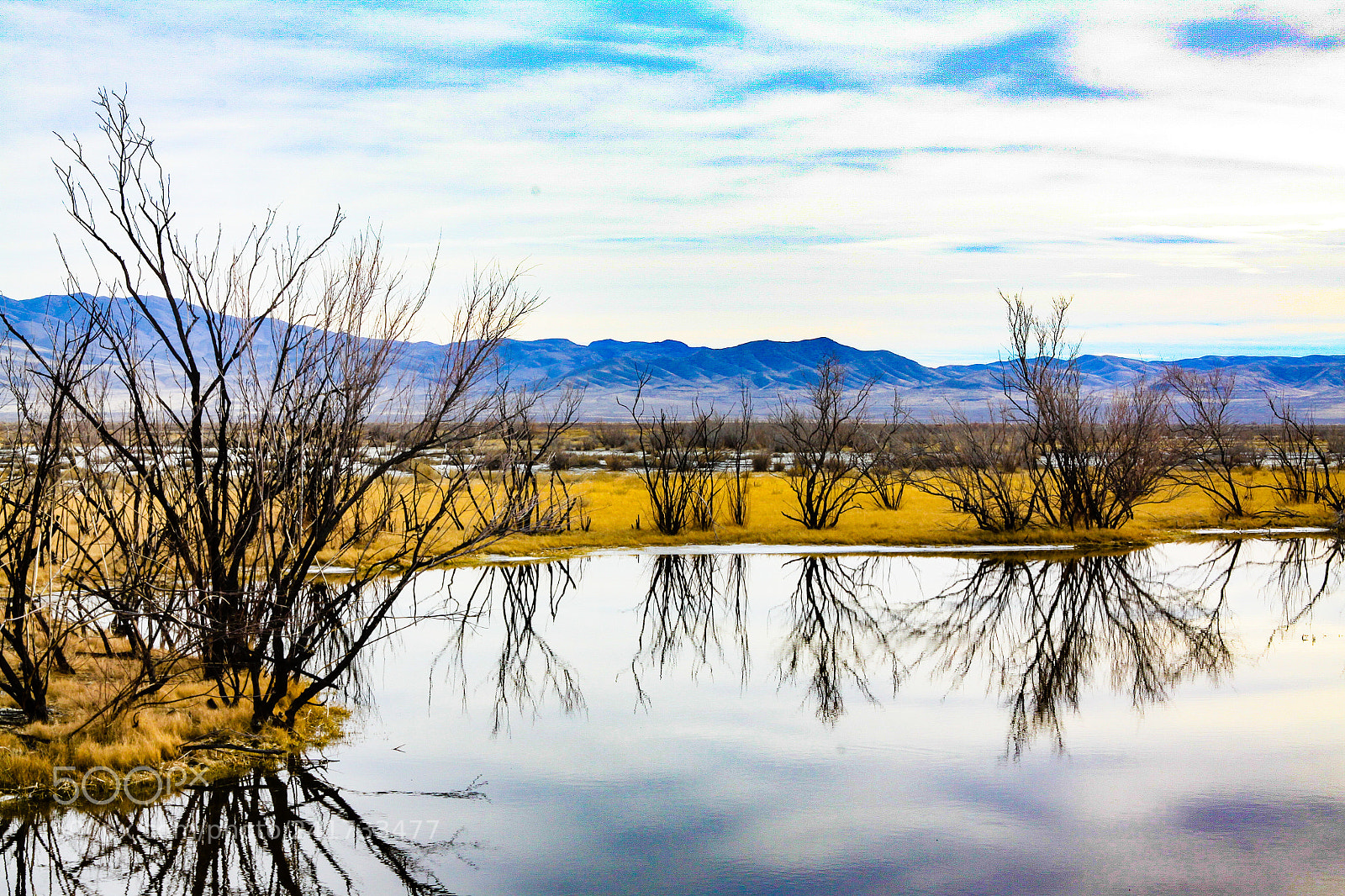 Canon EOS 50D sample photo. Still water photography