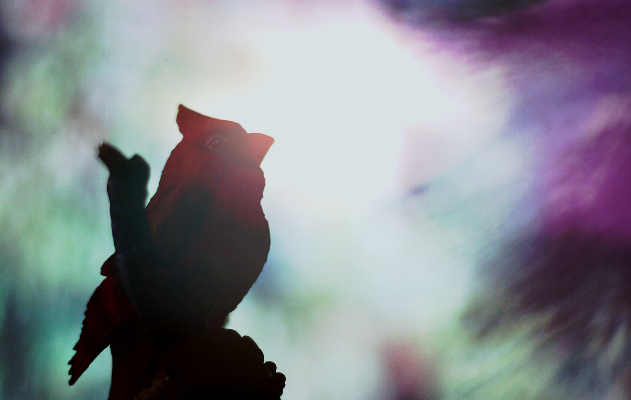 Canon EF 50mm F1.8 II sample photo. Wk1: vision: looking ahead photography