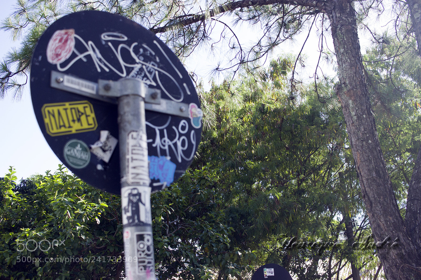 Canon EOS 600D (Rebel EOS T3i / EOS Kiss X5) sample photo. Cidade photography