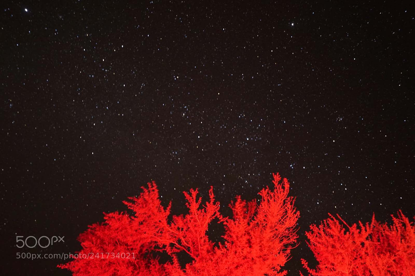 Sony a7 II sample photo. Night sky at atacama photography