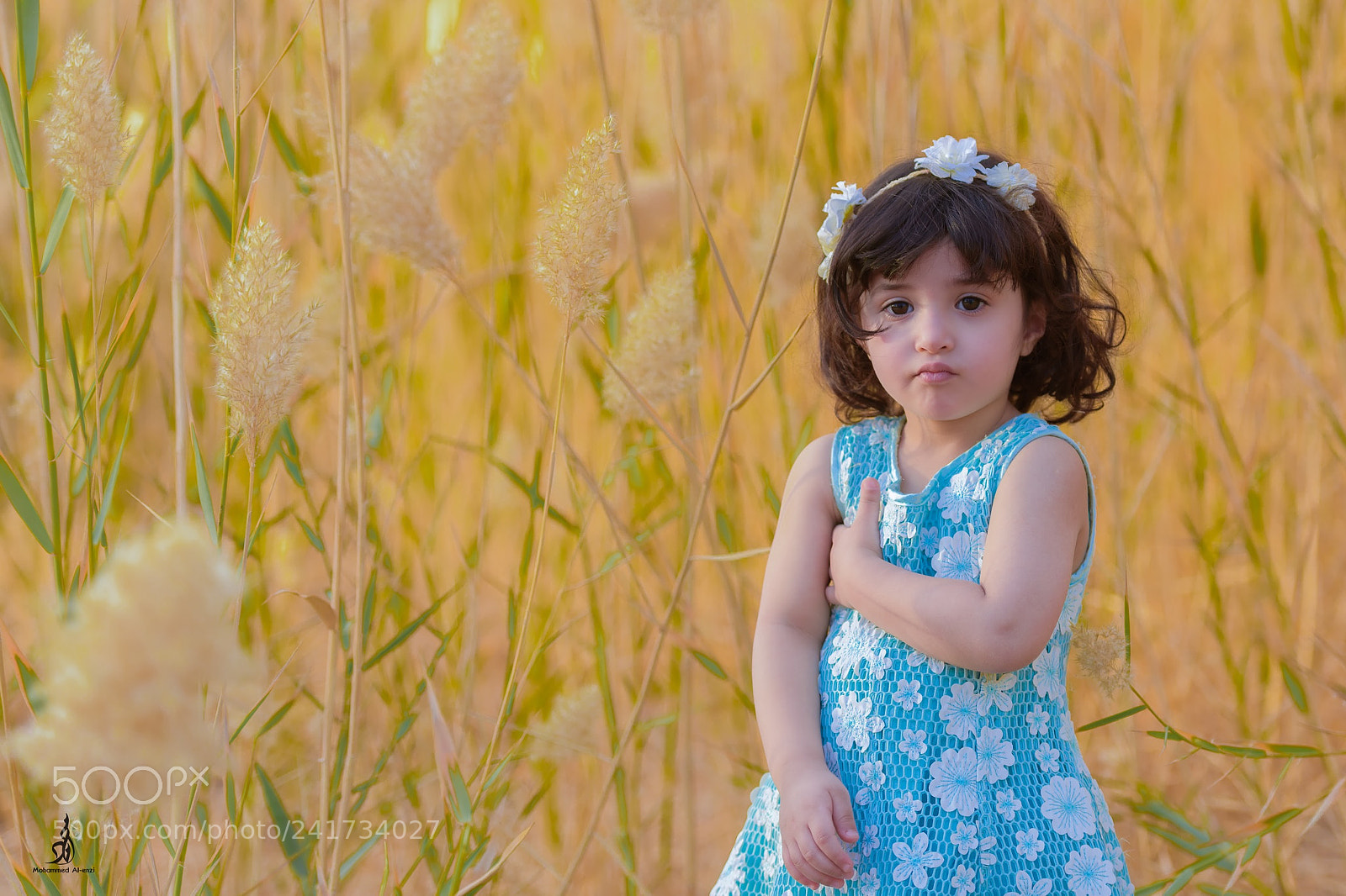 Nikon D810 sample photo. Untitled photography