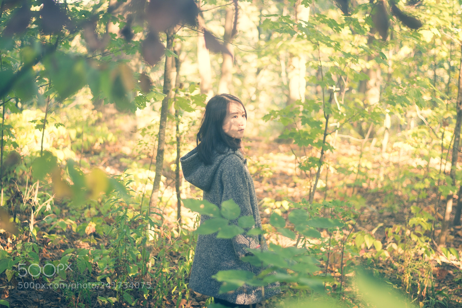 Nikon D600 sample photo. Winter is coming photography