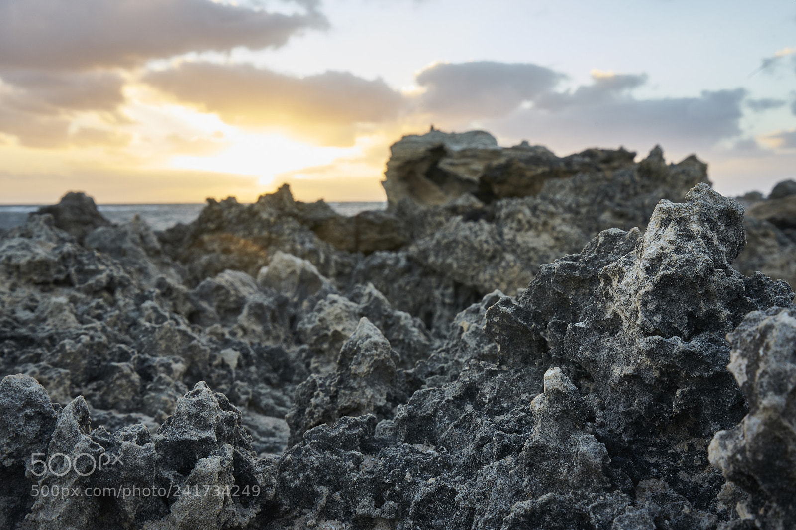 Sony a7 II sample photo. Limestone landscape photography