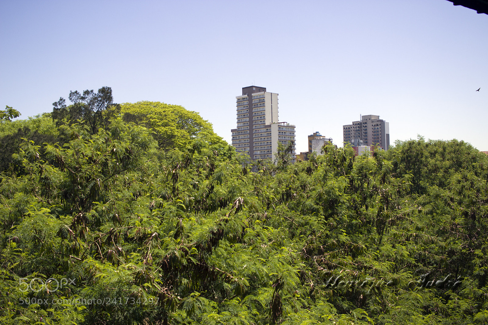 Canon EOS 600D (Rebel EOS T3i / EOS Kiss X5) sample photo. Cidade photography