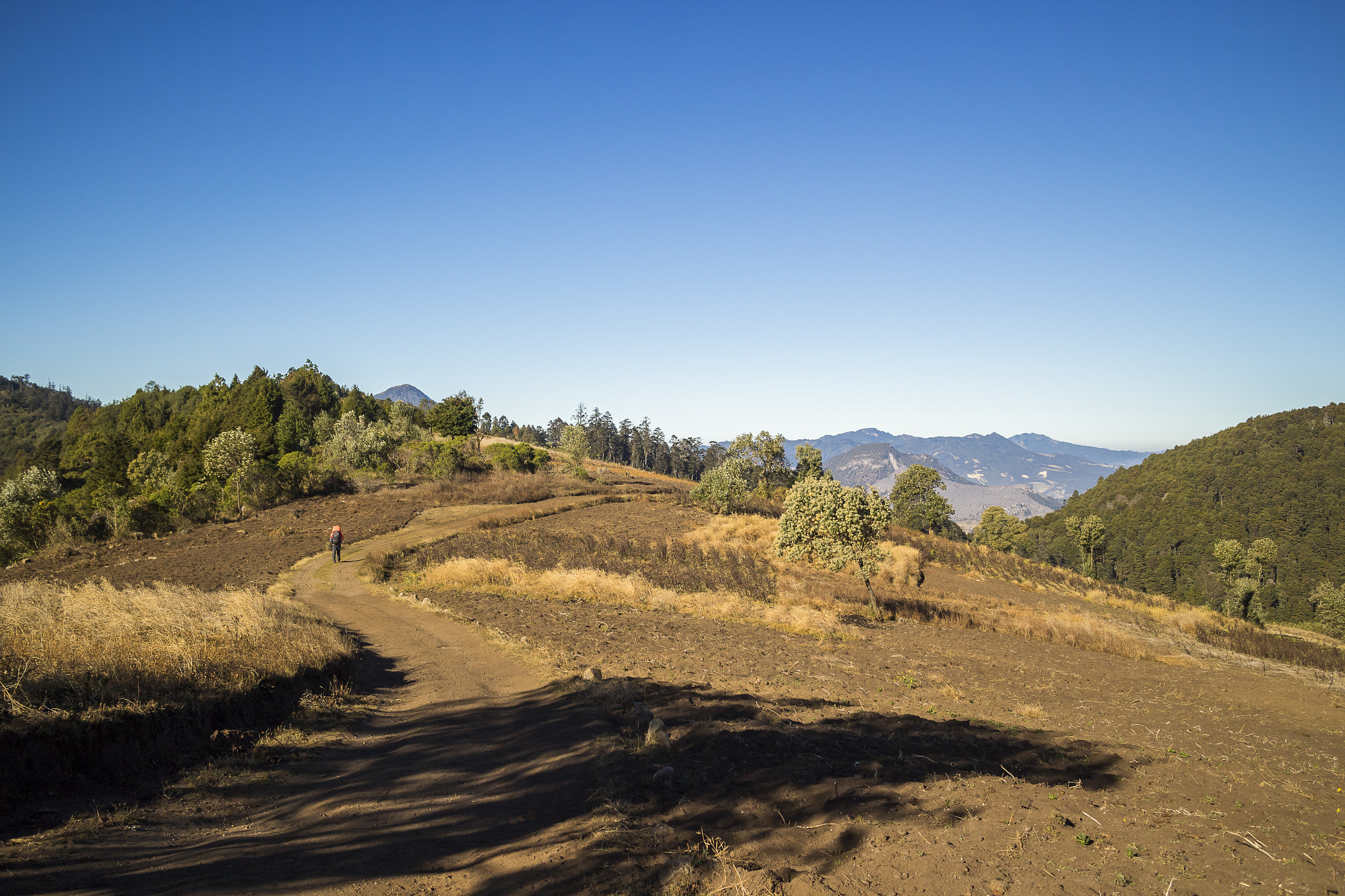 Canon EOS M2 sample photo. One way! to the top! photography