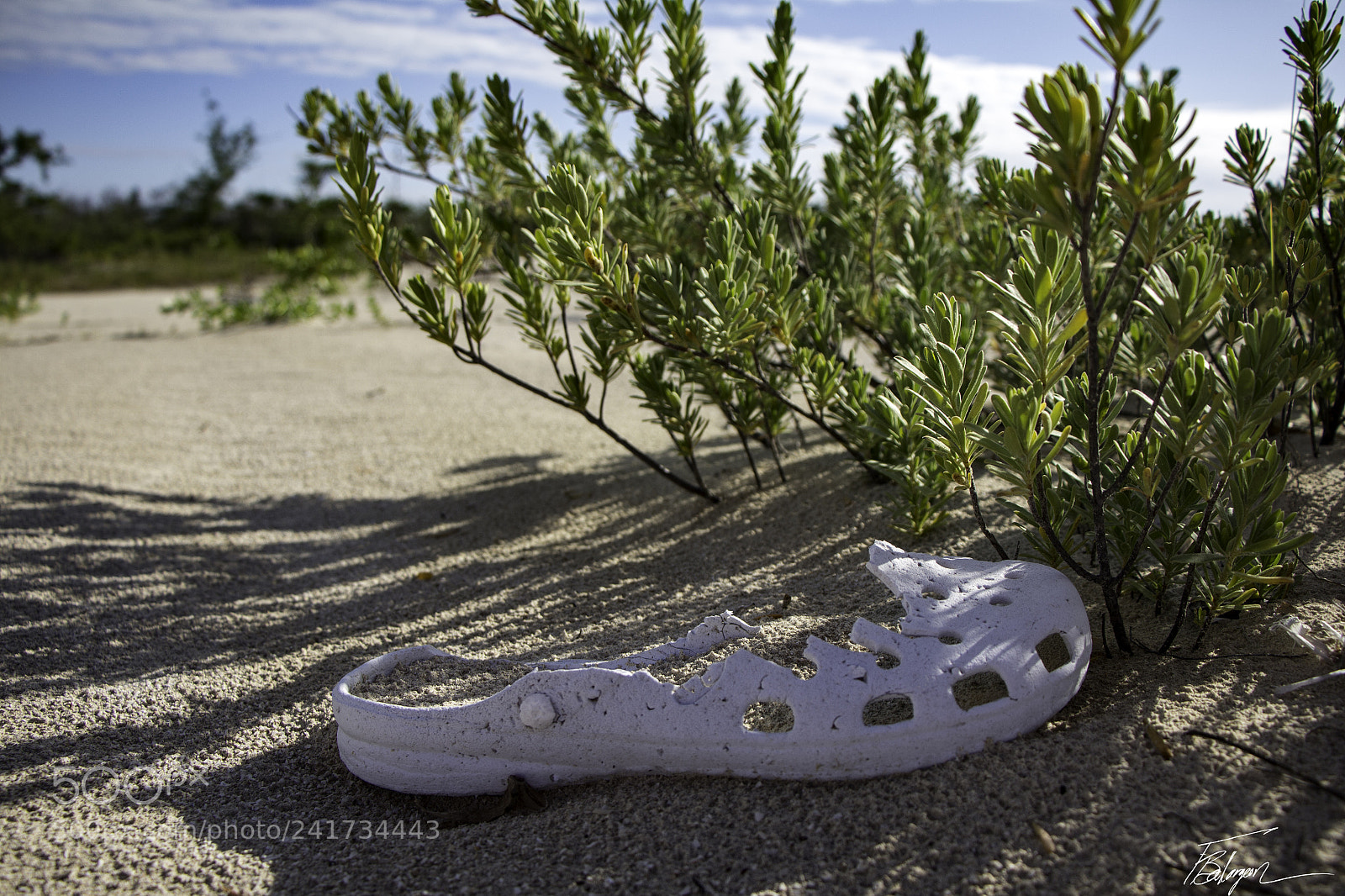 Canon EOS 650D (EOS Rebel T4i / EOS Kiss X6i) sample photo. Lost sandal photography