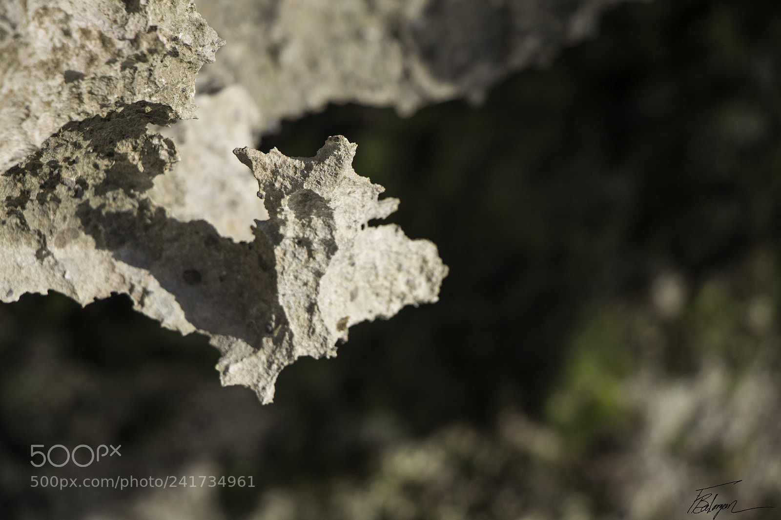 Canon EOS 650D (EOS Rebel T4i / EOS Kiss X6i) sample photo. Sharp volcanic stone photography