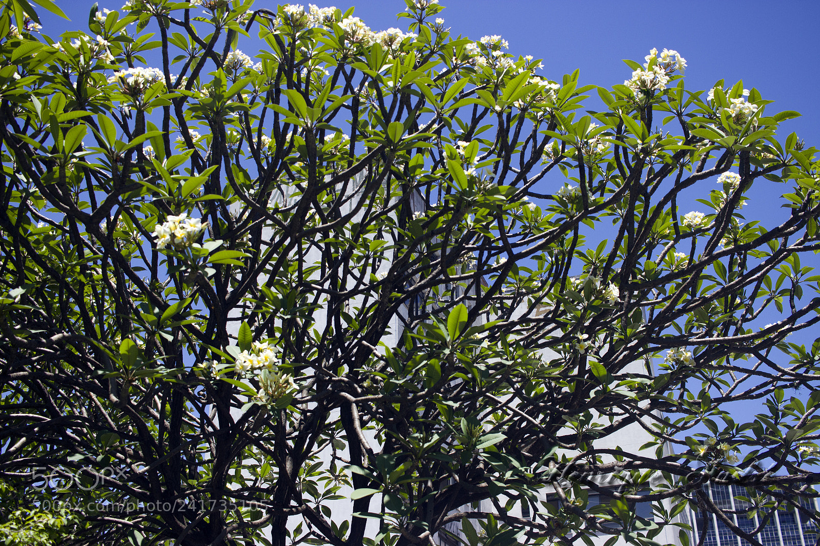 Canon EOS 600D (Rebel EOS T3i / EOS Kiss X5) sample photo. Cidade photography