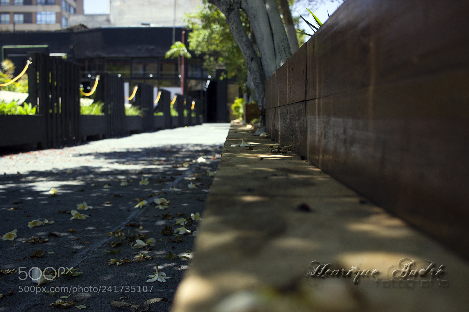 Canon EOS 600D (Rebel EOS T3i / EOS Kiss X5) sample photo. Cidade photography