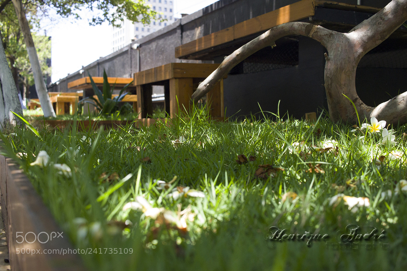 Canon EOS 600D (Rebel EOS T3i / EOS Kiss X5) sample photo. Cidade photography