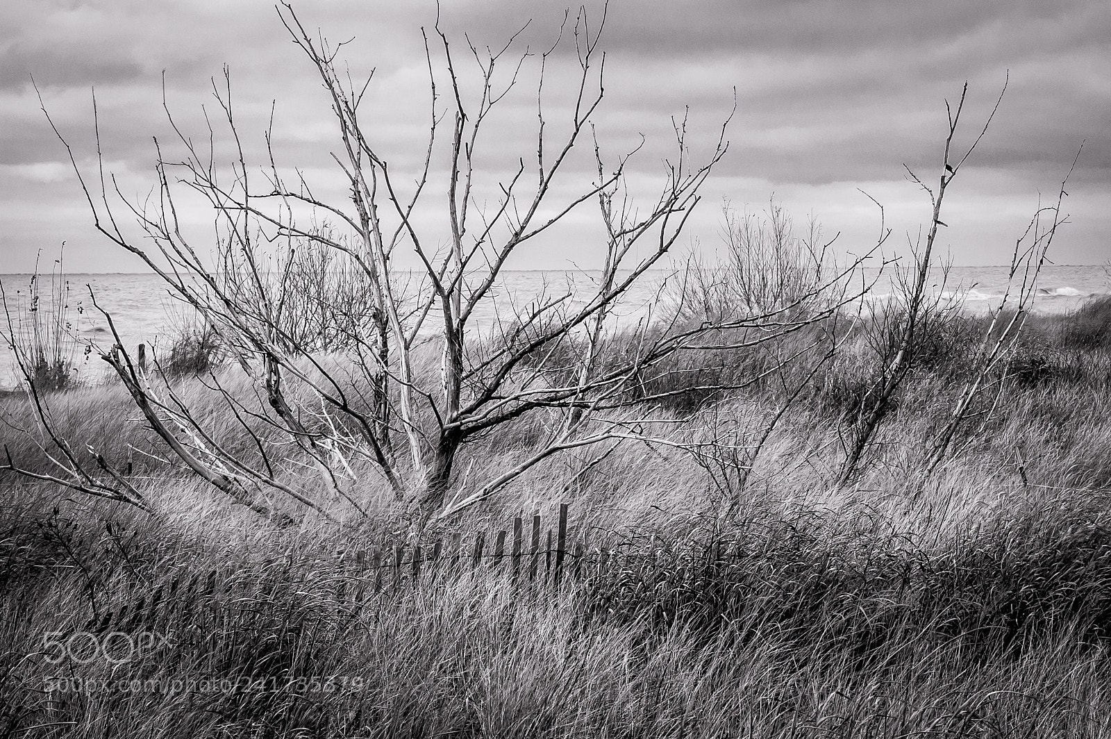 Nikon D50 sample photo. Weathered photography