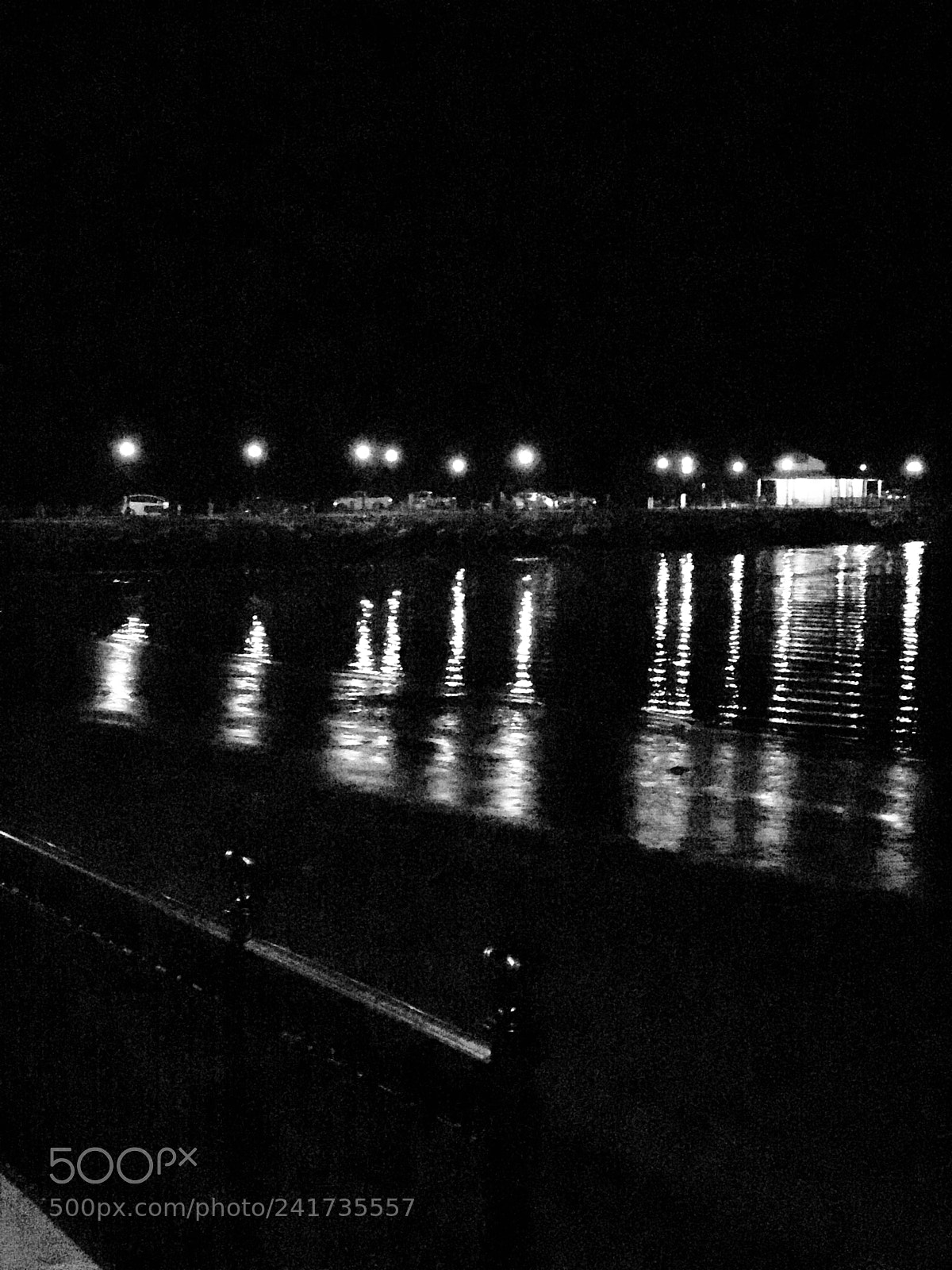 Apple iPhone 7 Plus sample photo. Beaming off the dock photography