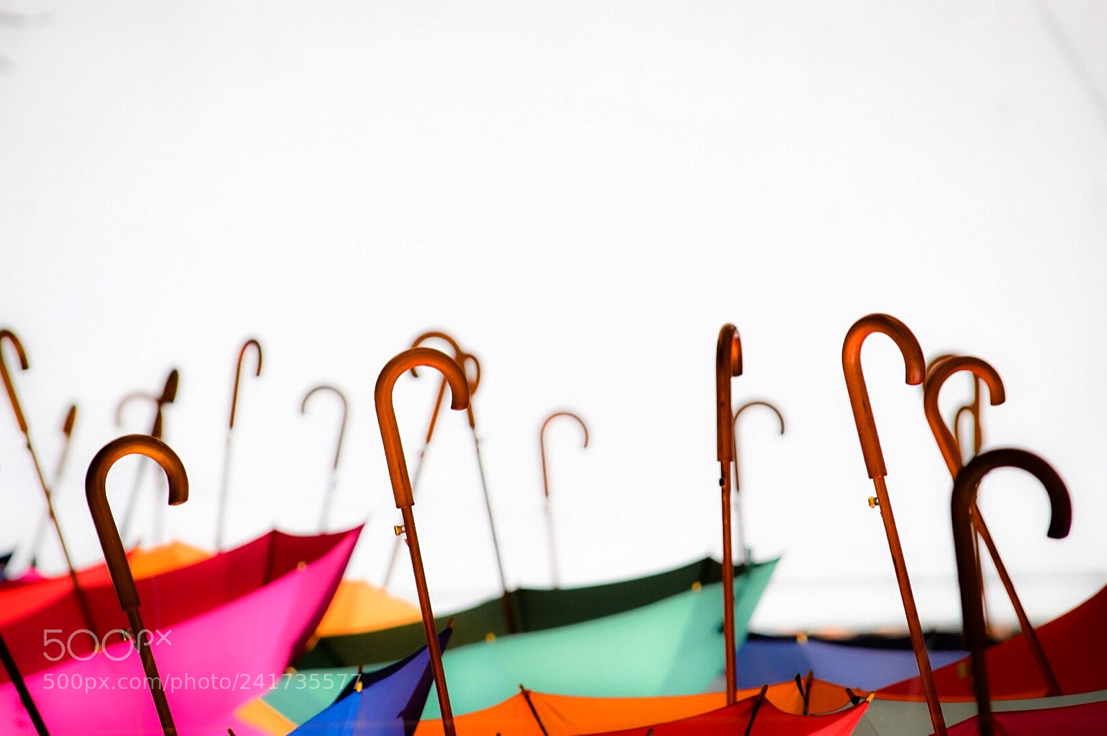 Nikon D5500 sample photo. Umbrellas & colors photography
