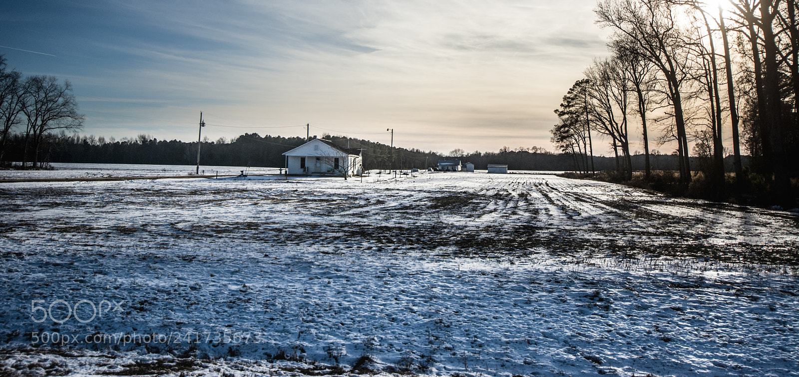 Nikon D7100 sample photo. Wilson photography