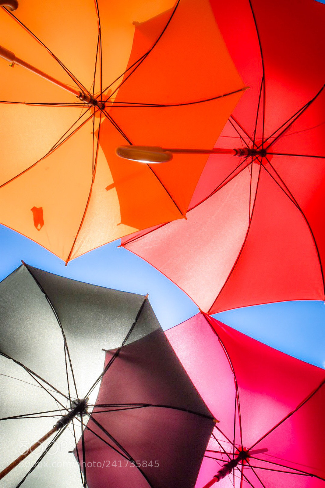 Nikon D5500 sample photo. Colorful photography