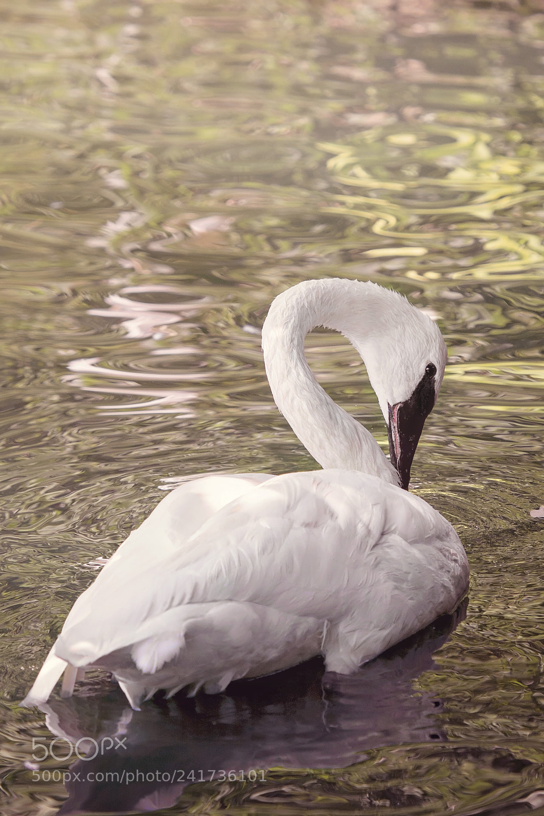 Nikon D7100 sample photo. Summer solstice photography