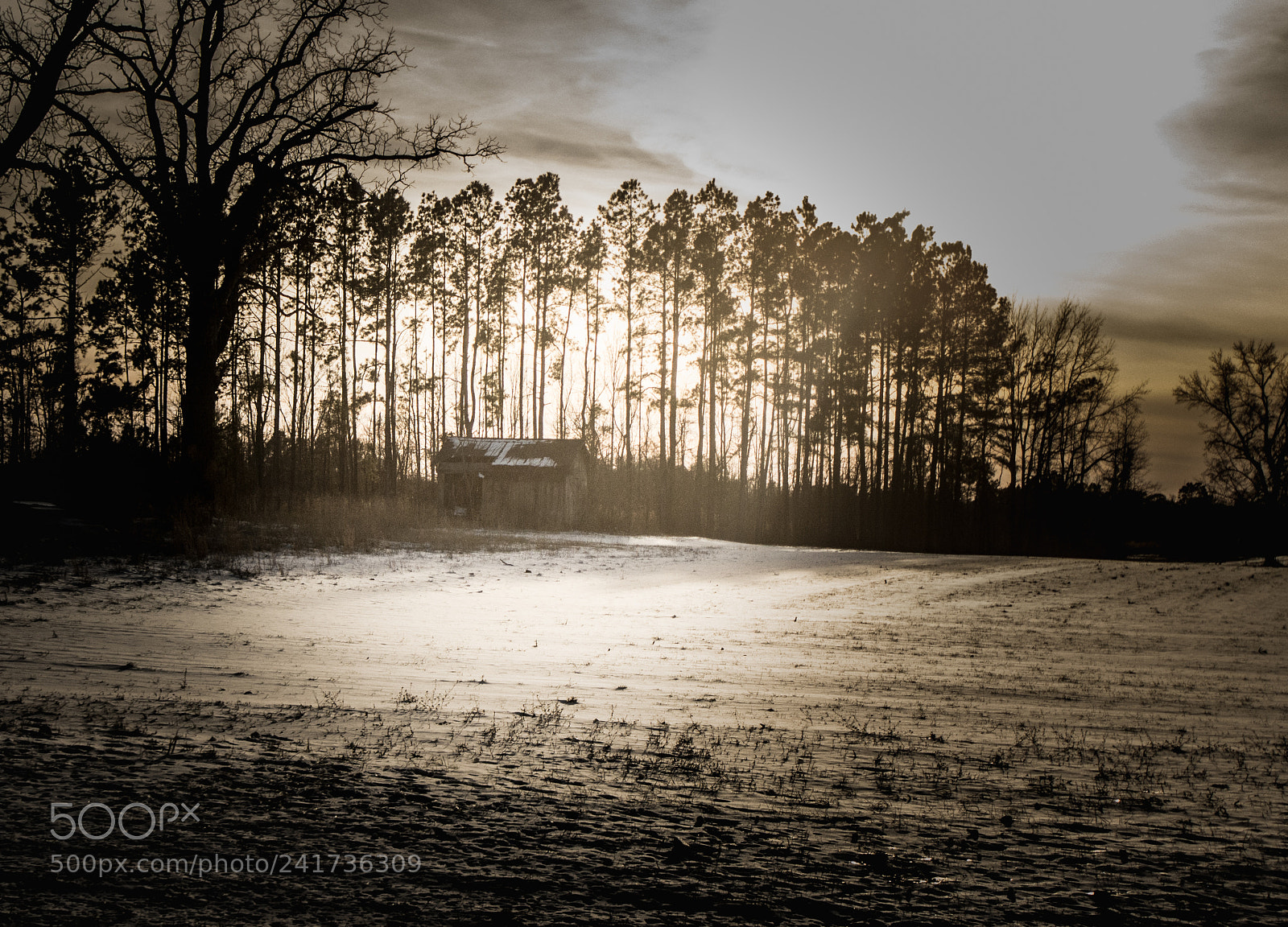 Nikon D7100 sample photo. Wilson north carolina photography