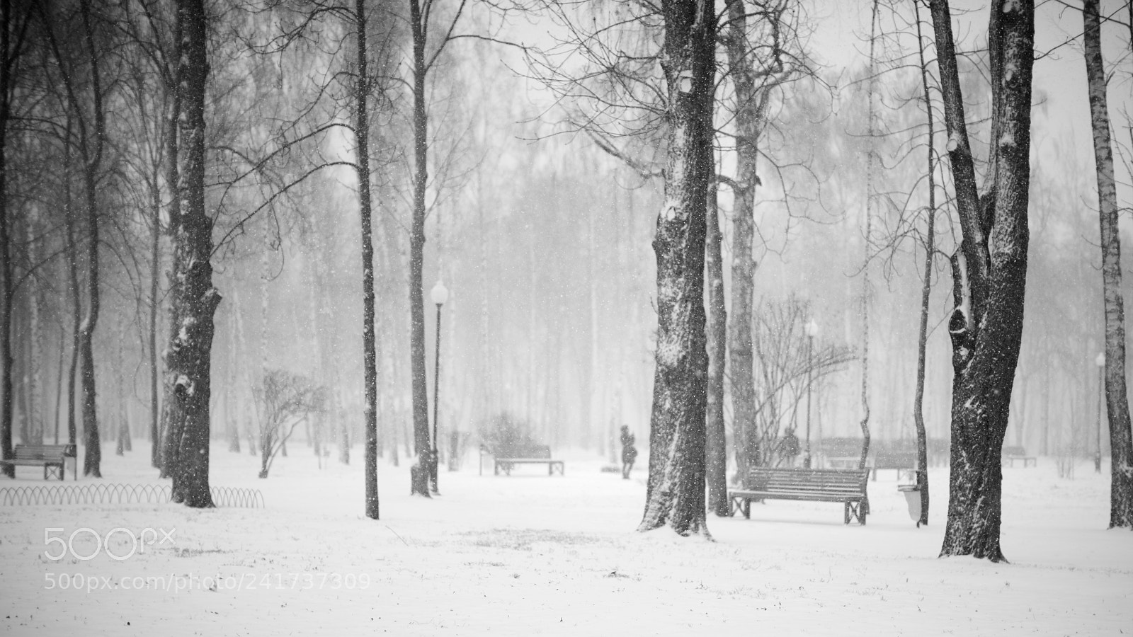 Canon EOS 5DS sample photo. Snowfall photography