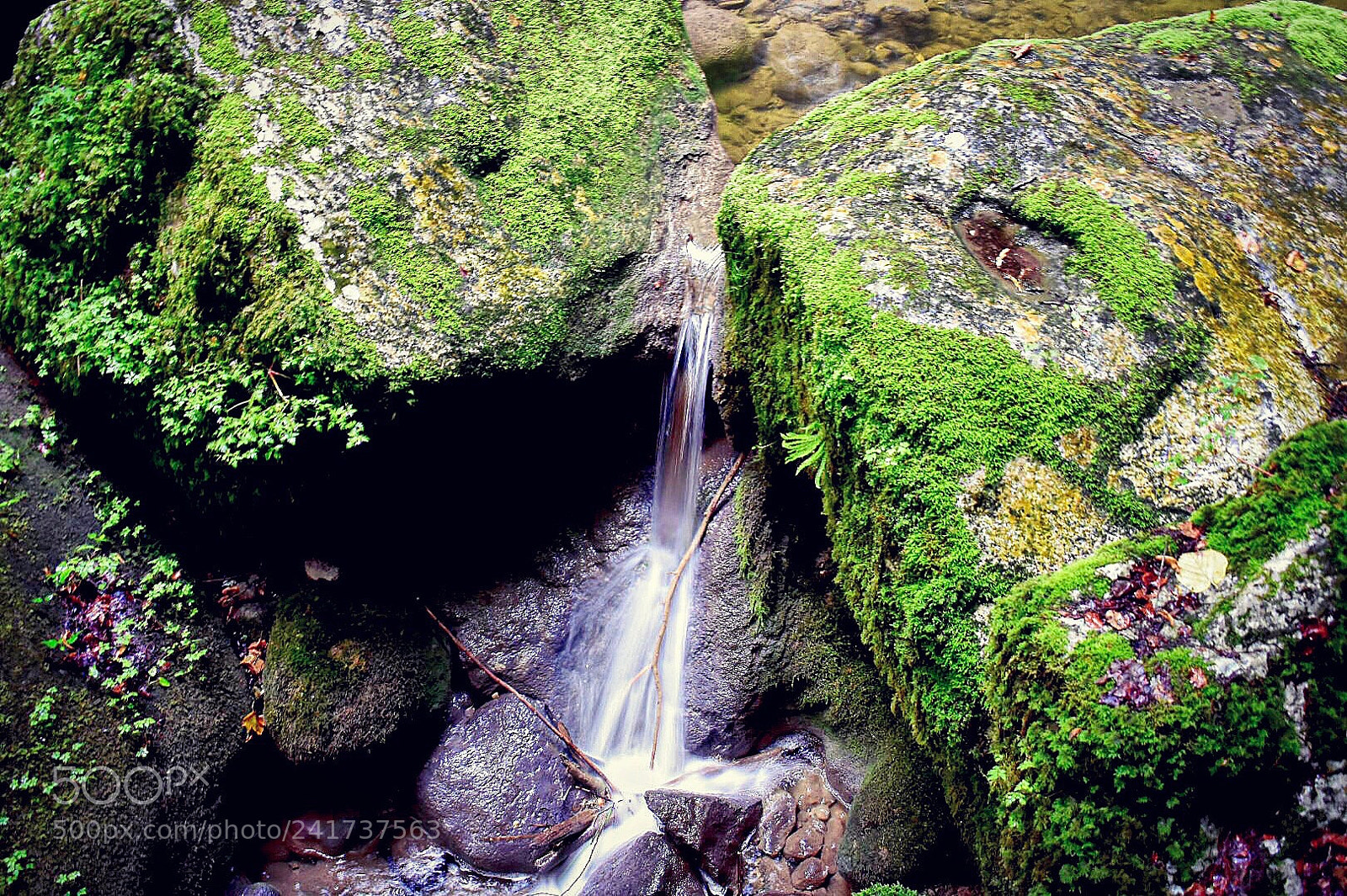 Nikon D3400 sample photo. •twannbachschlucht• photography