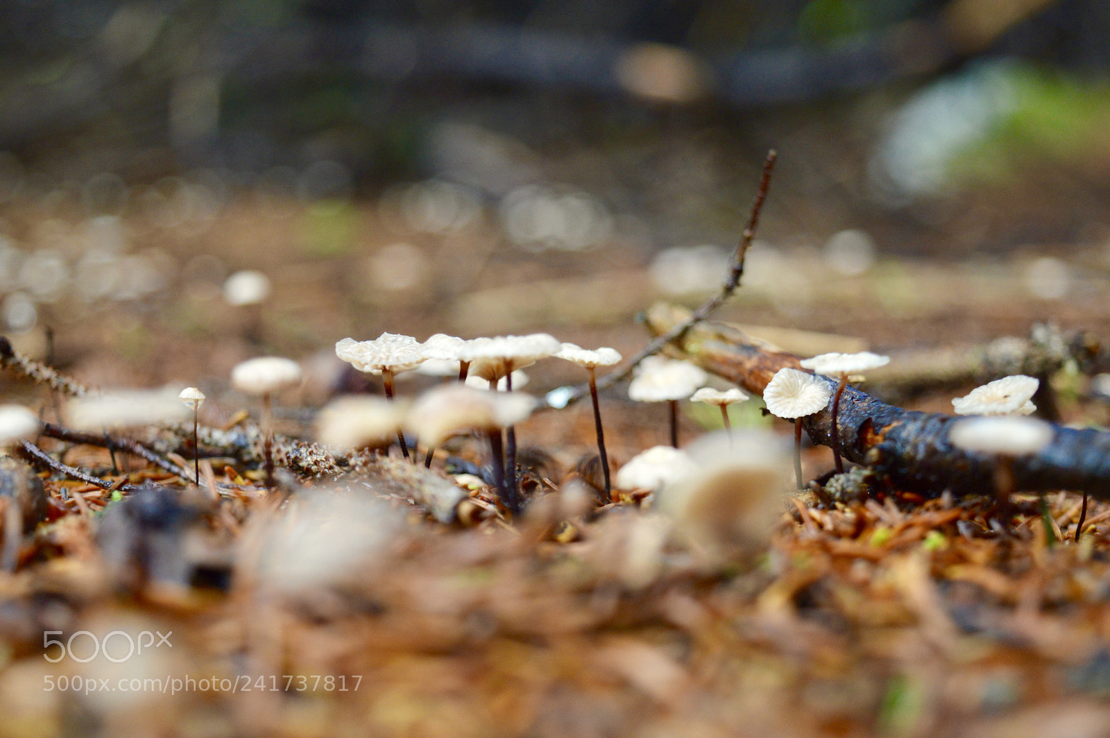 Nikon D3200 sample photo. Life photography