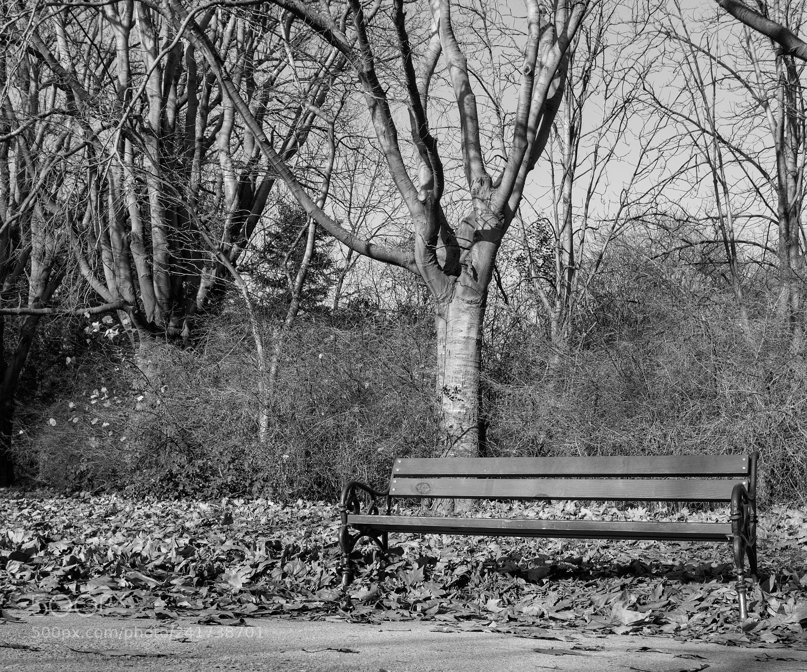 Canon EOS M3 sample photo. The bench photography