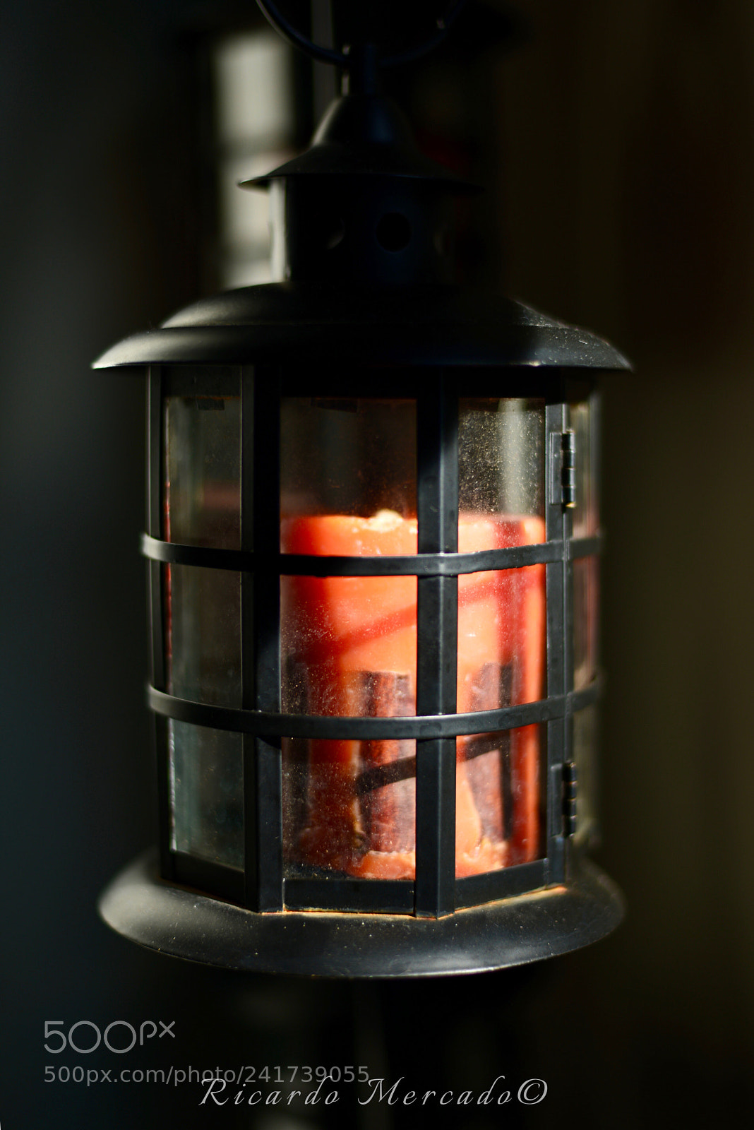 Nikon D600 sample photo. Untitled photography