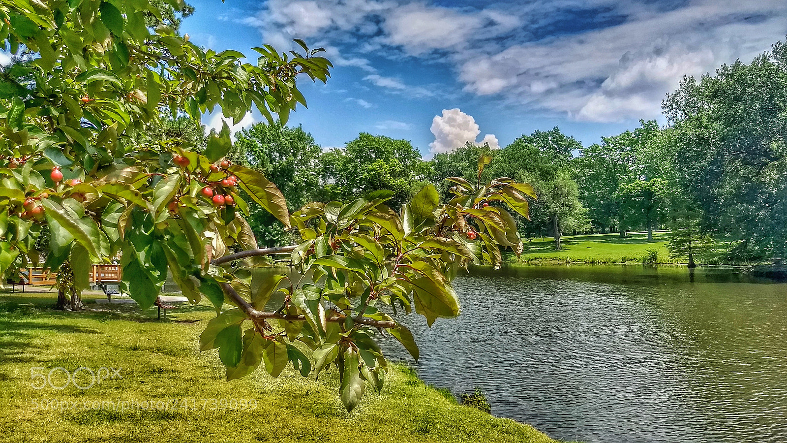 Motorola Moto G (5) Plus sample photo. Hdr photography