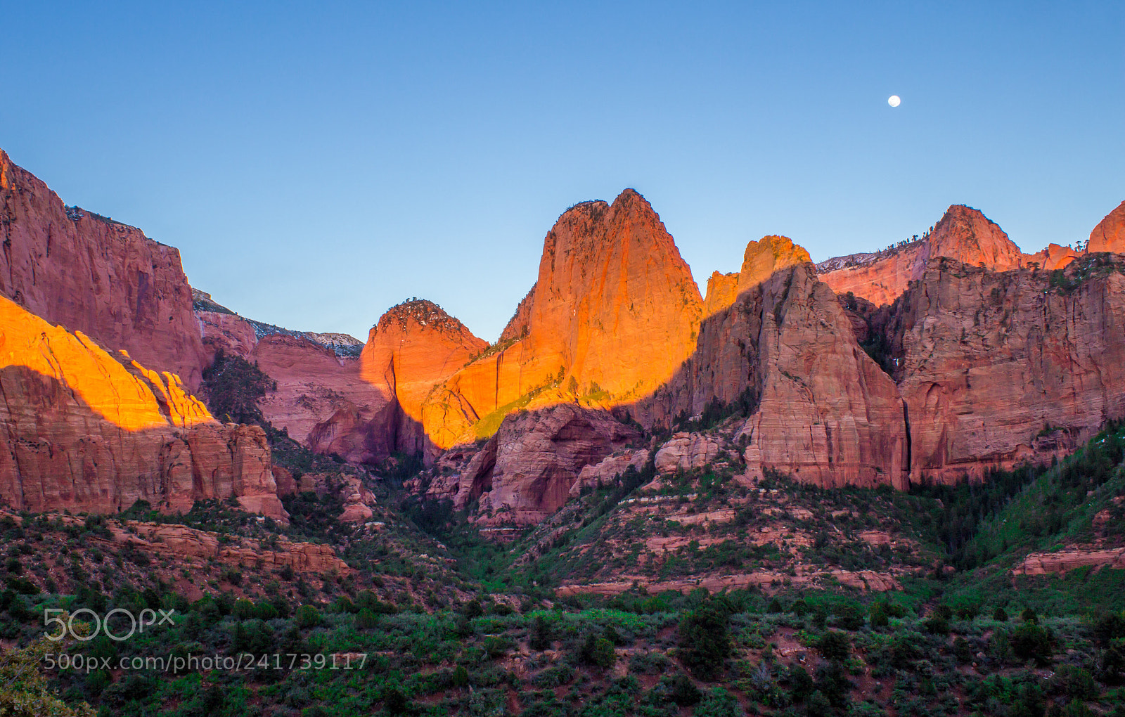 Canon EOS 600D (Rebel EOS T3i / EOS Kiss X5) sample photo. Zion, ut photography