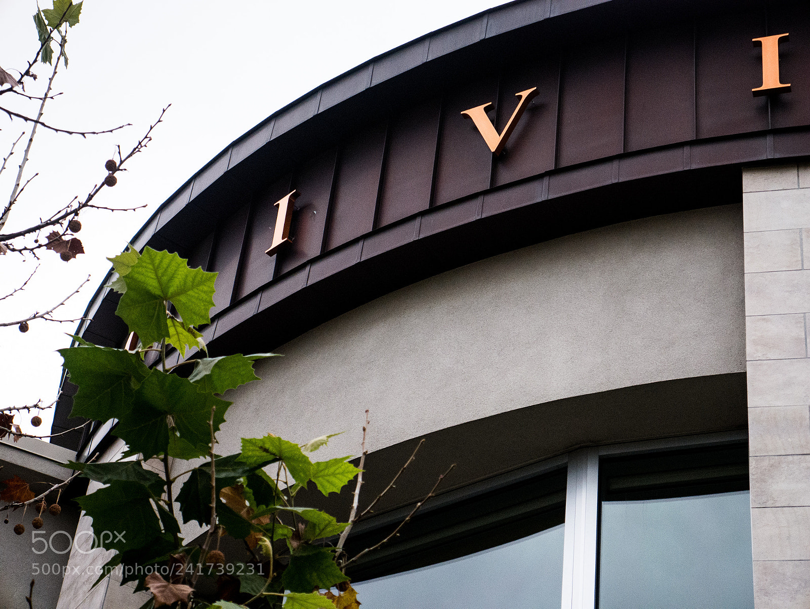 Panasonic Lumix DMC-G7 sample photo. Roseville civic center photography