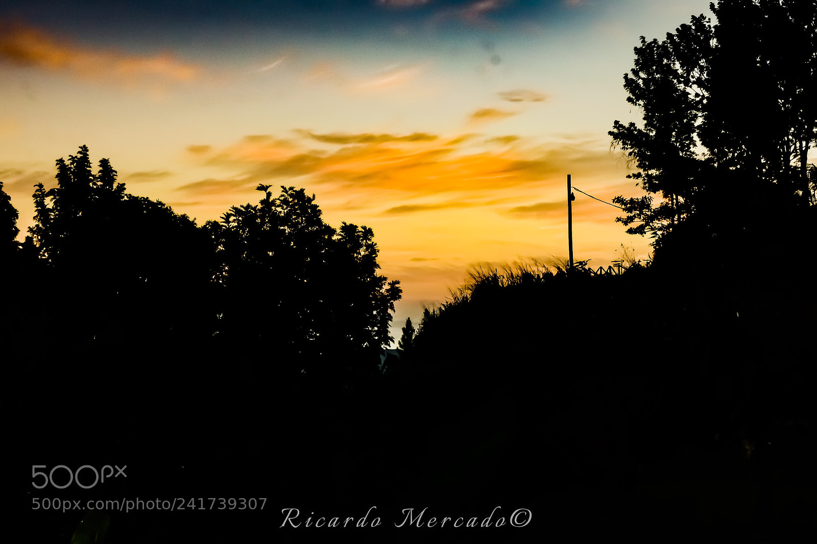 Nikon D600 sample photo. Untitled photography