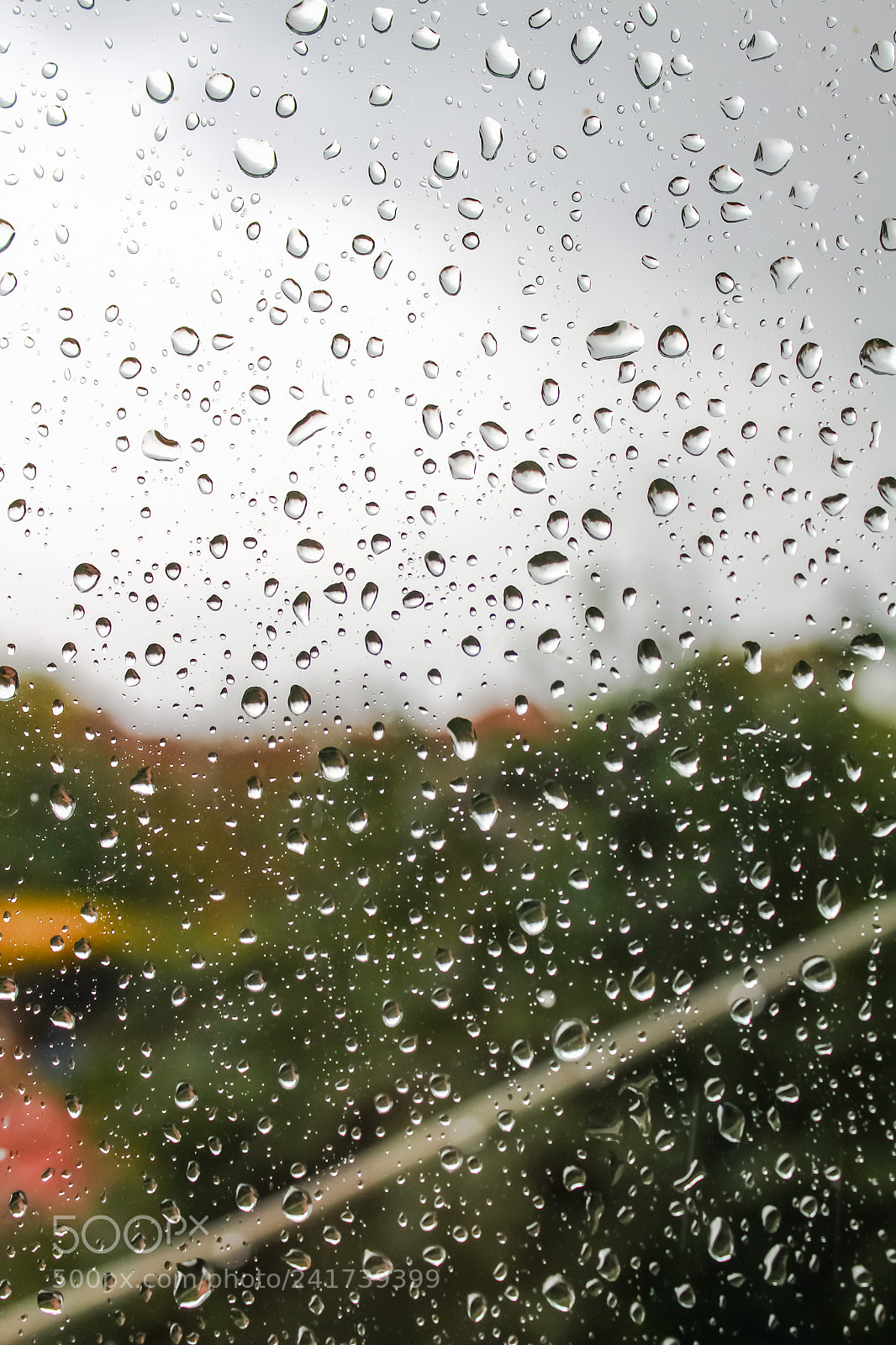 Canon EOS 1300D (EOS Rebel T6 / EOS Kiss X80) sample photo. Rainy day photography