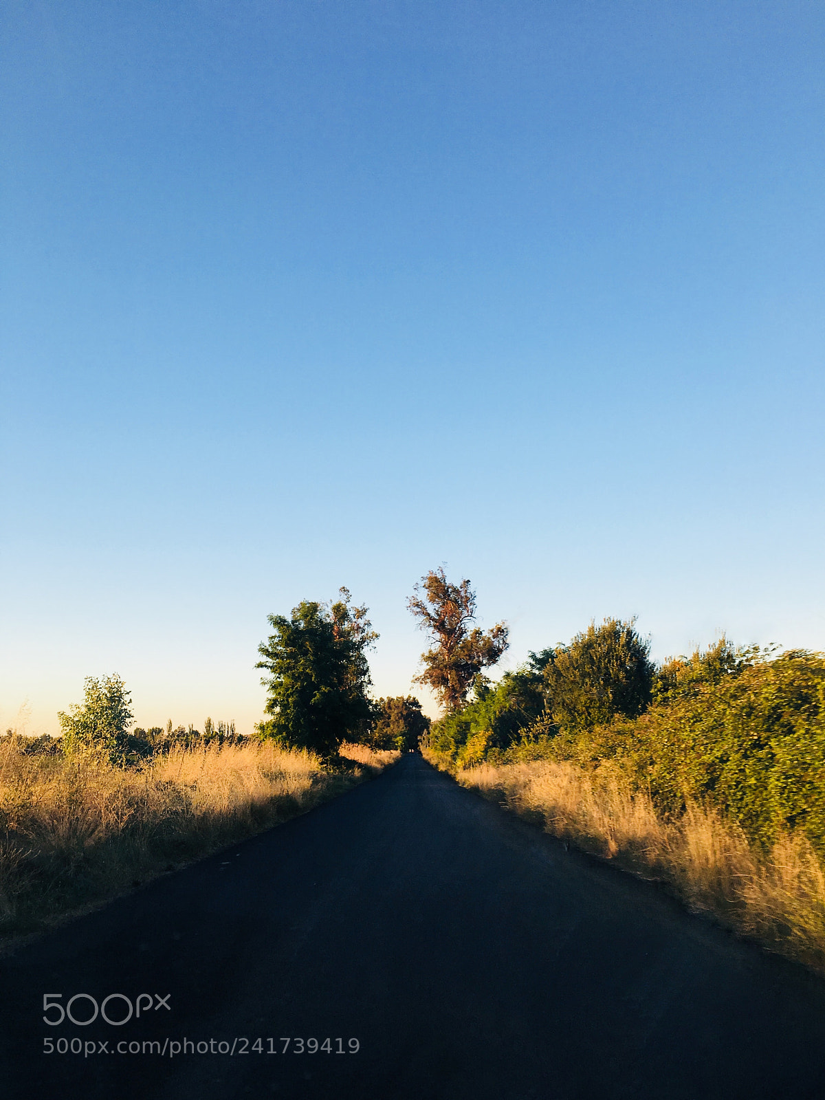Apple iPhone 6s sample photo. Nature road photography