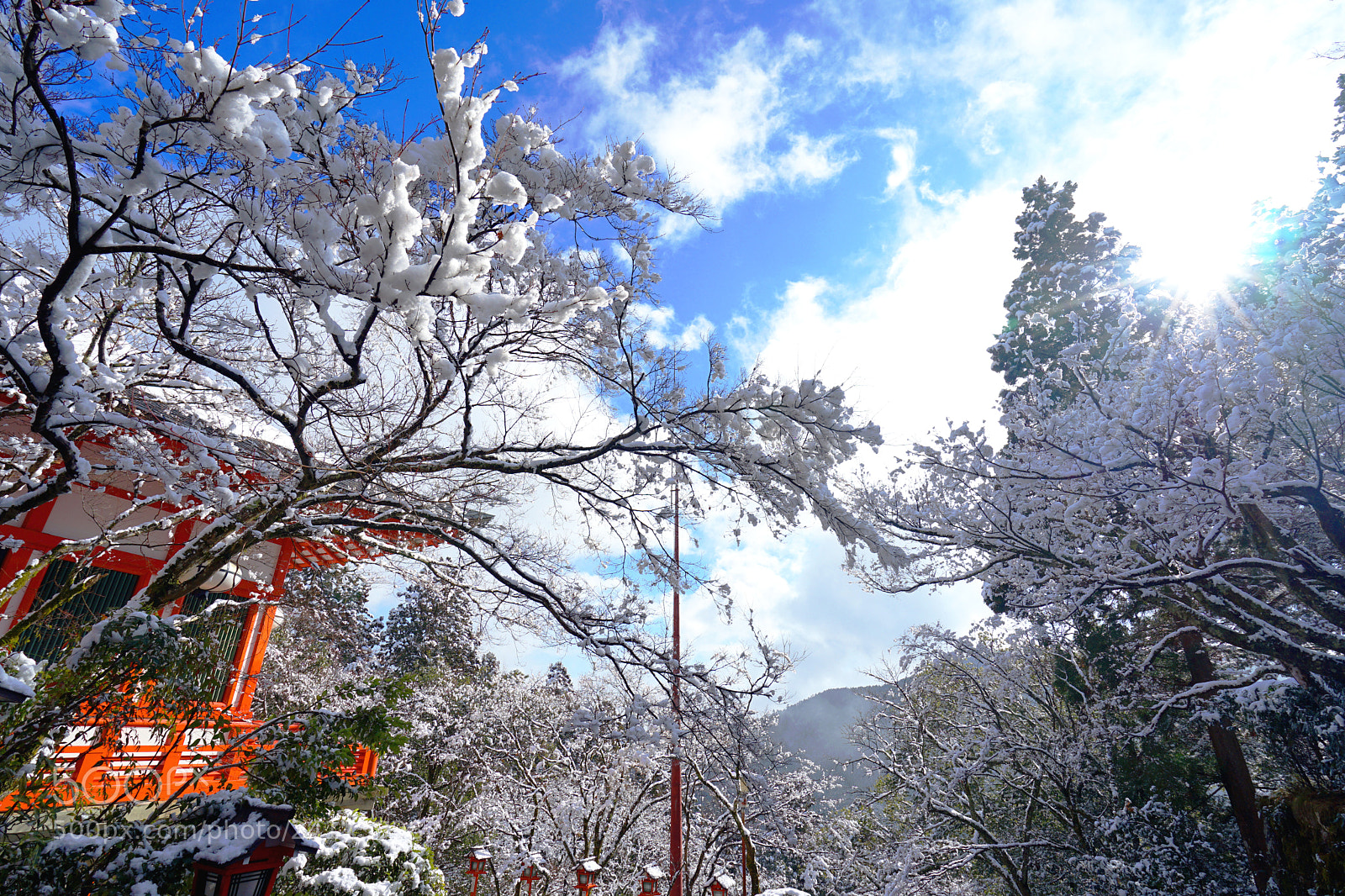 Sony a7 II sample photo. Kurama-dera mountain temple photography