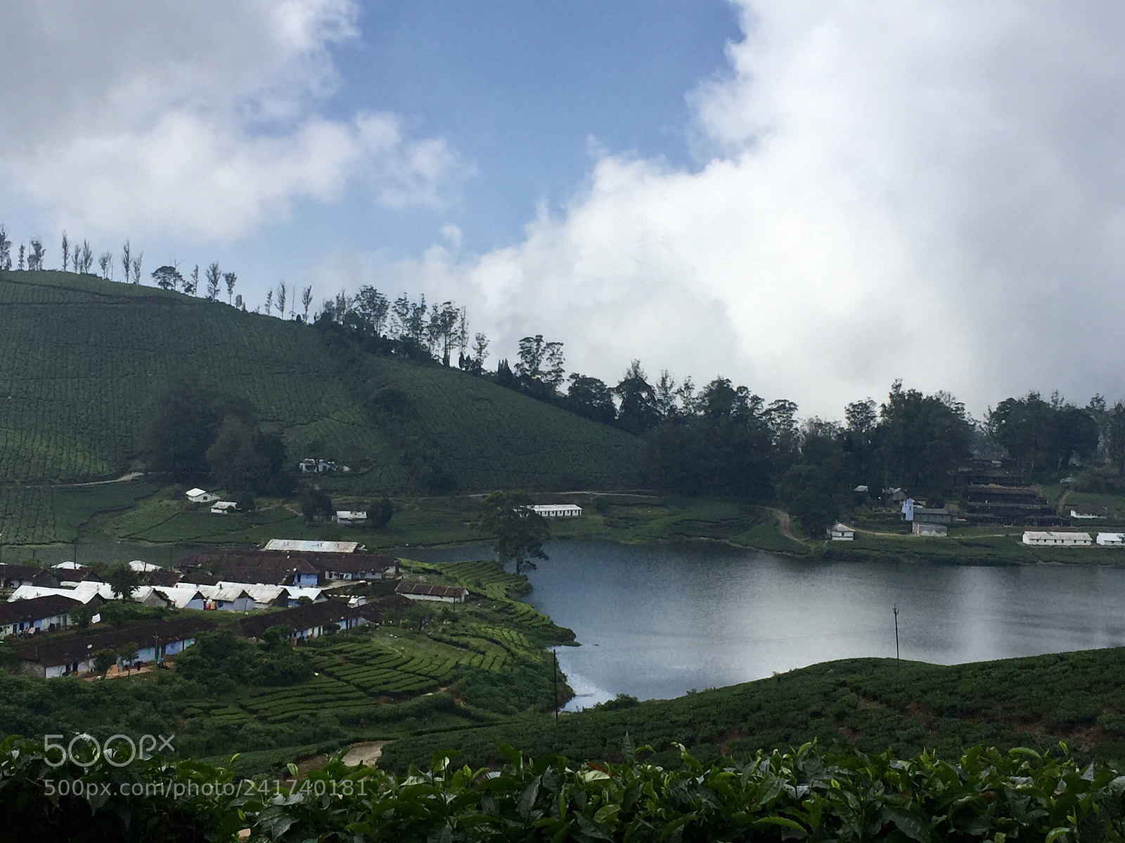 Apple iPhone 6 Plus sample photo. The love for nature photography