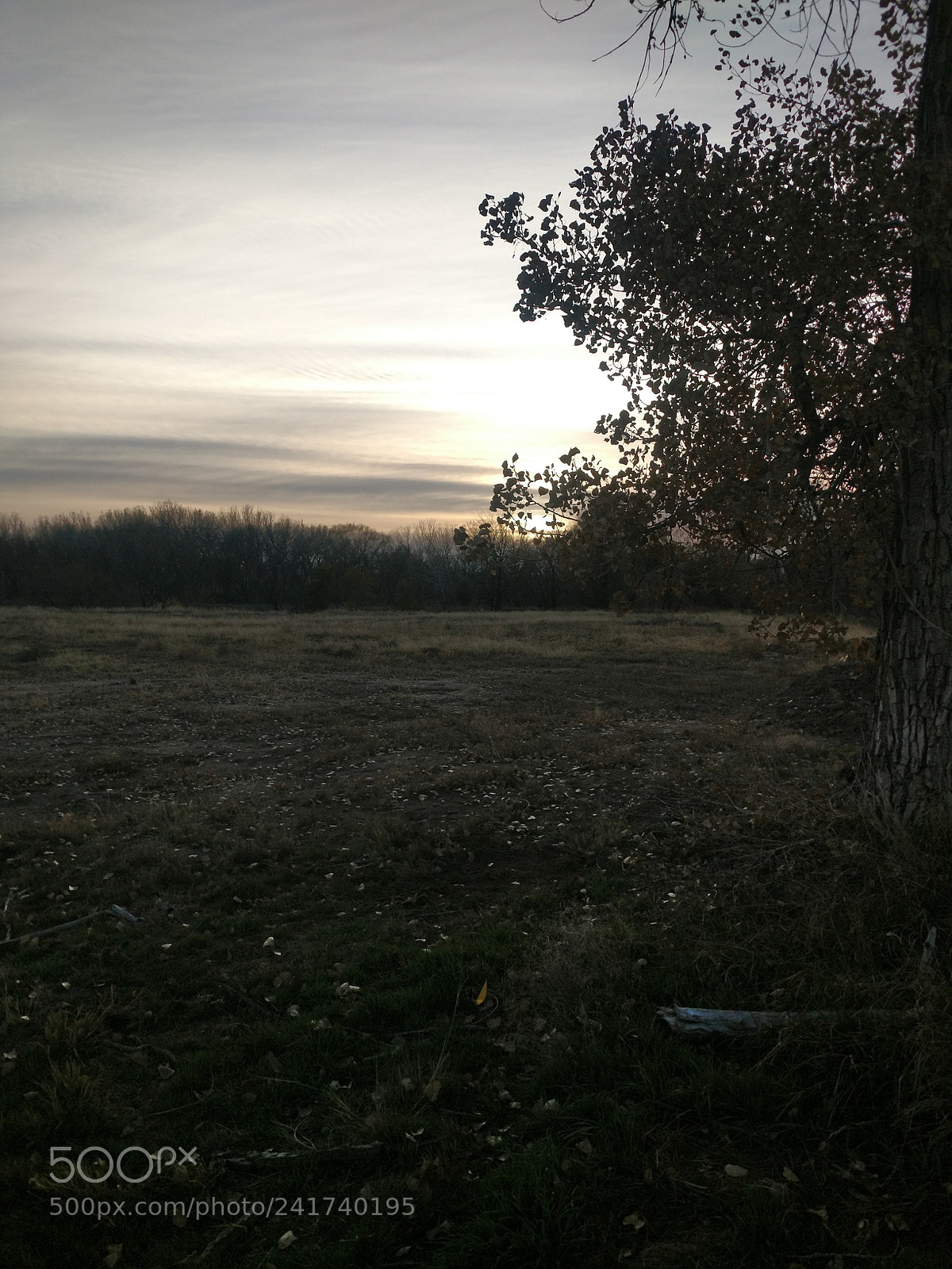 Motorola XT1650 sample photo. I see it photography