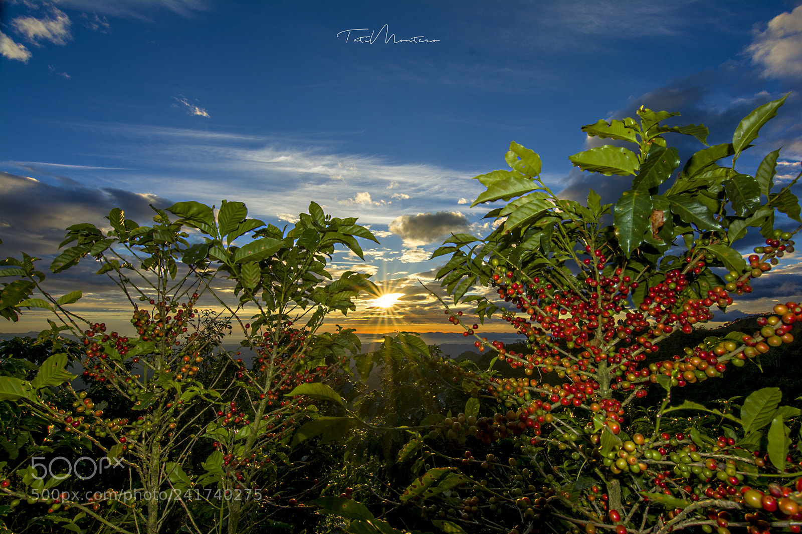 Nikon D7100 sample photo. Atardecer photography
