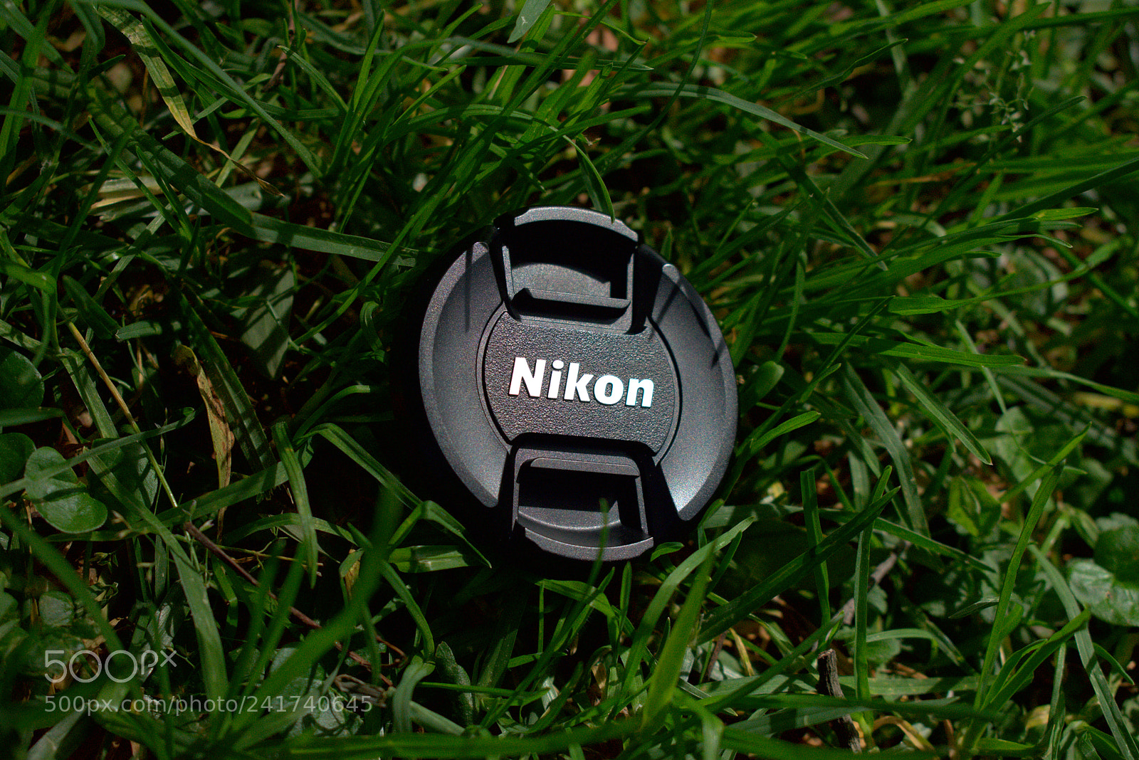 Nikon D3400 sample photo. Nikon photography
